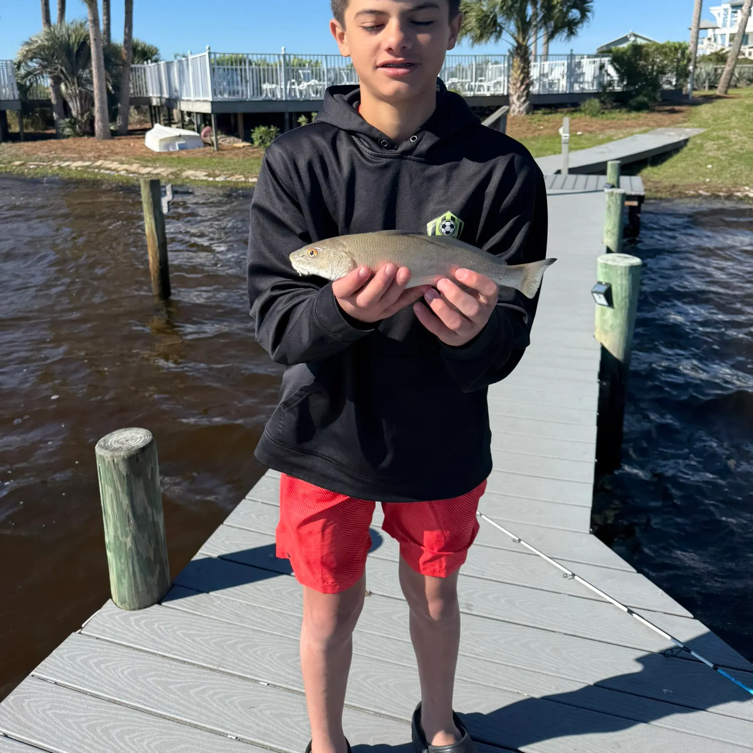 The most recent Northern kingcroaker catches on Fishbrain