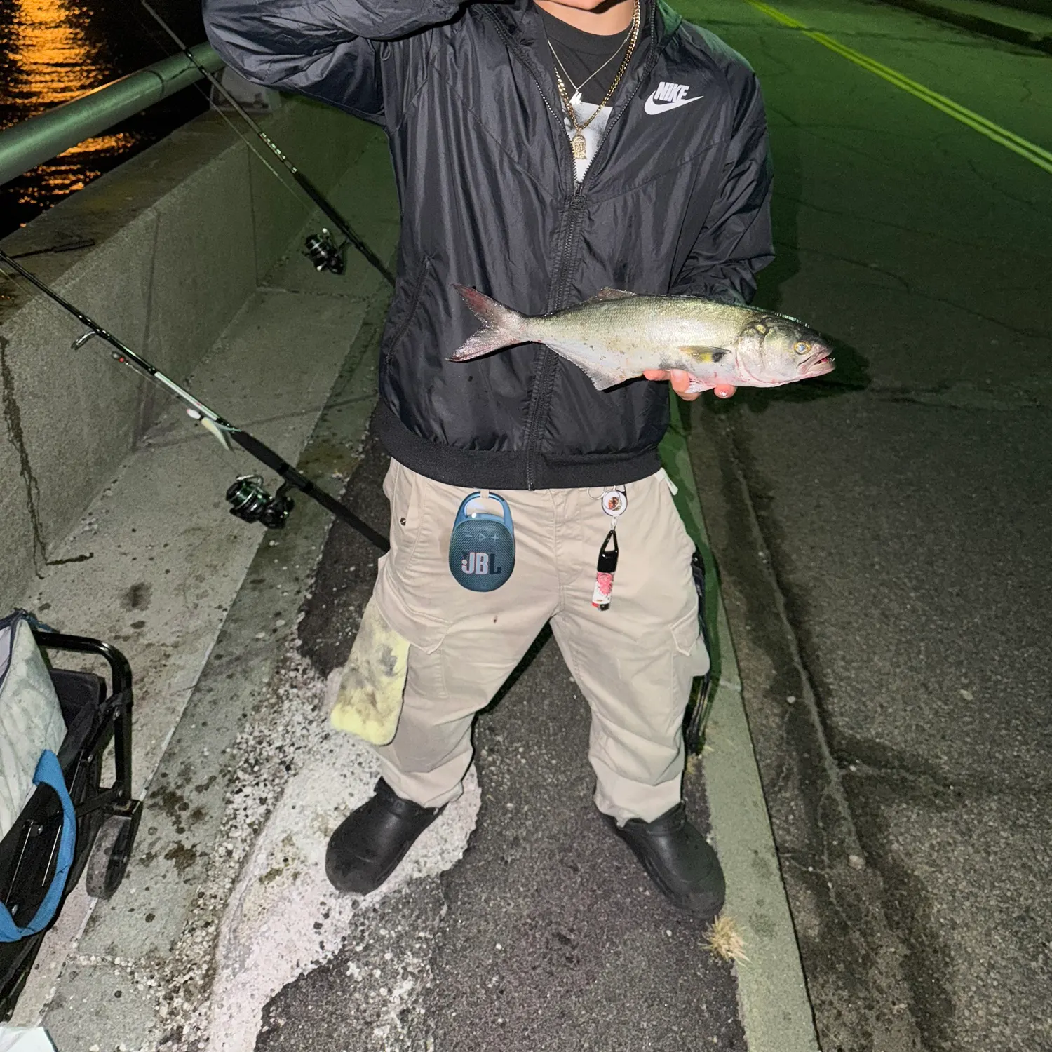 Bluefish caught on Fishbrain