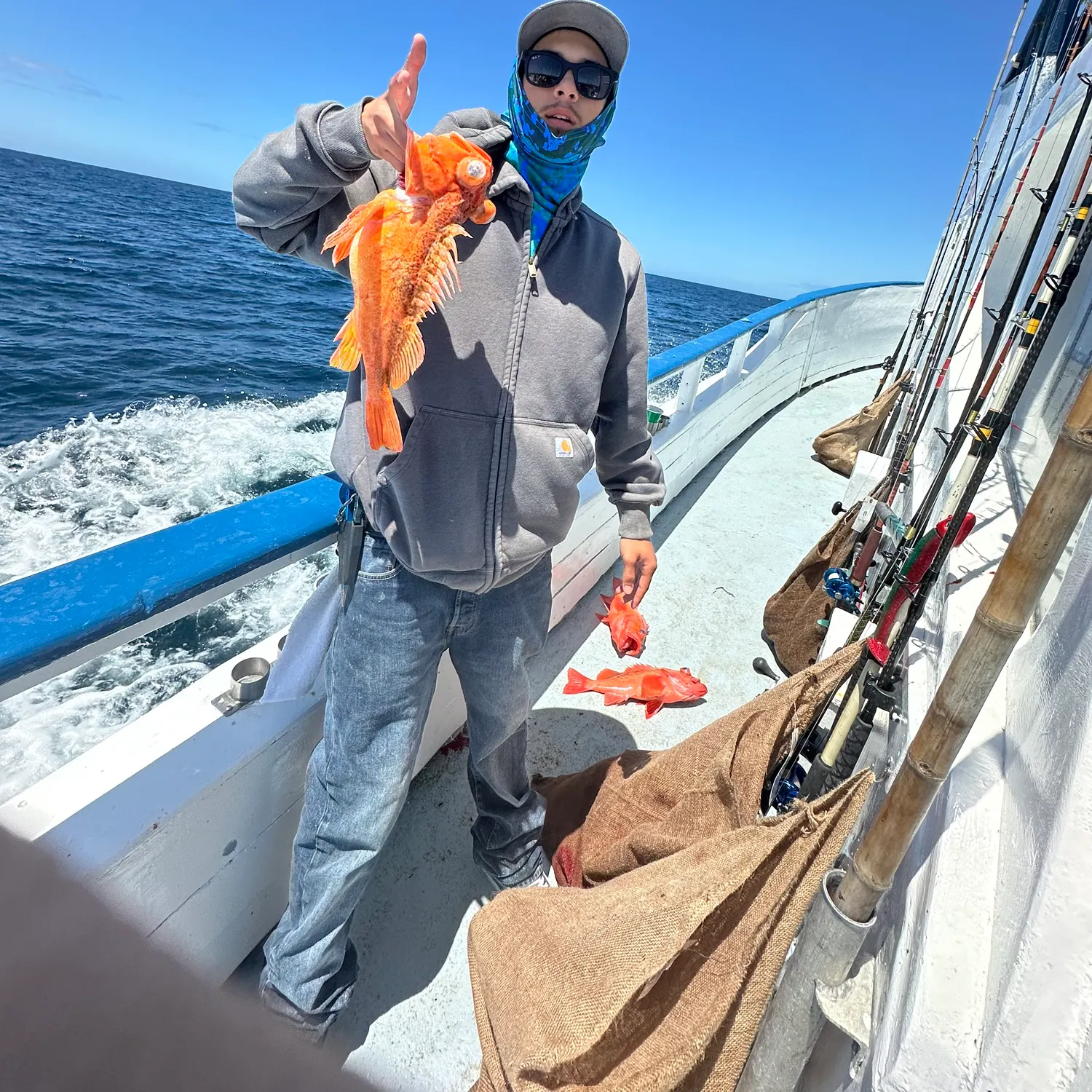 The most recent Greenspotted rockfish catches on Fishbrain