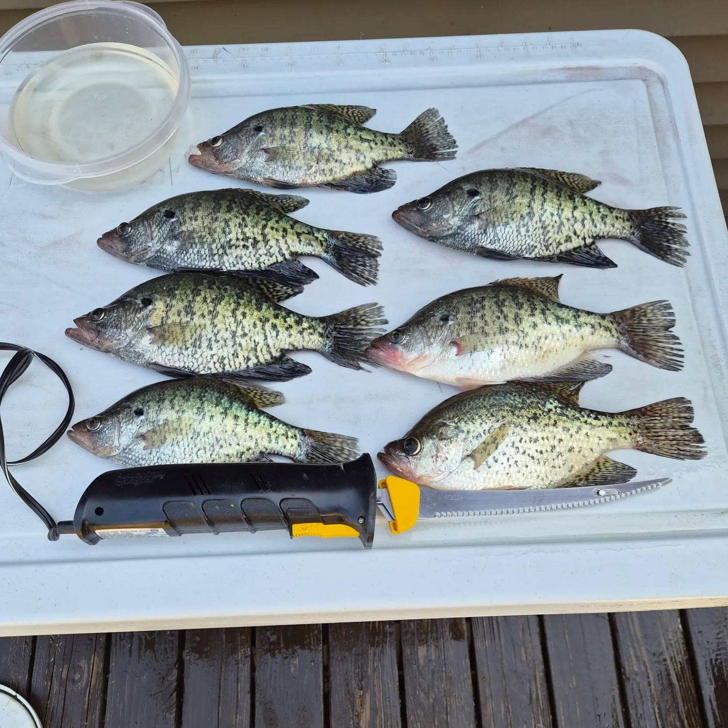 recently logged catches