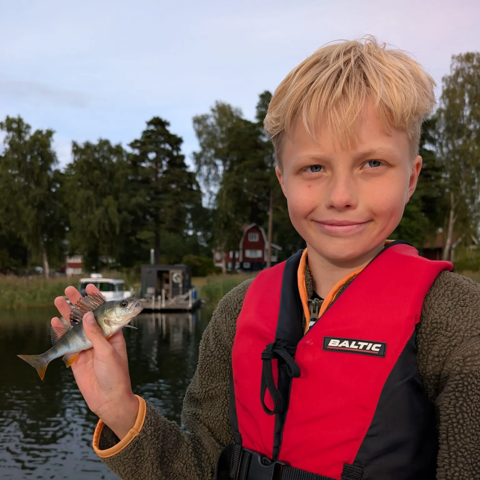 European perch caught on Fishbrain