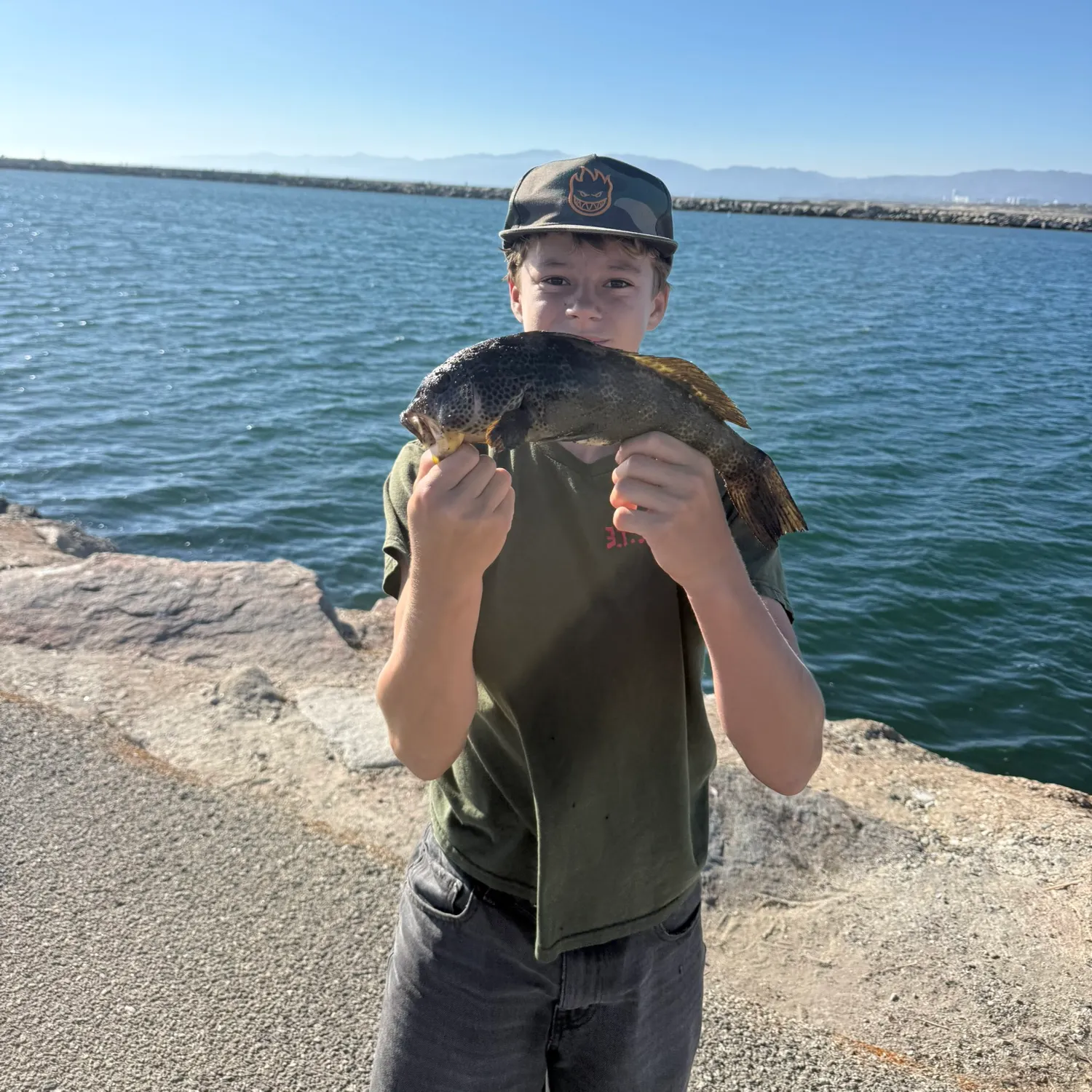 Spotted sand bass caught on Fishbrain
