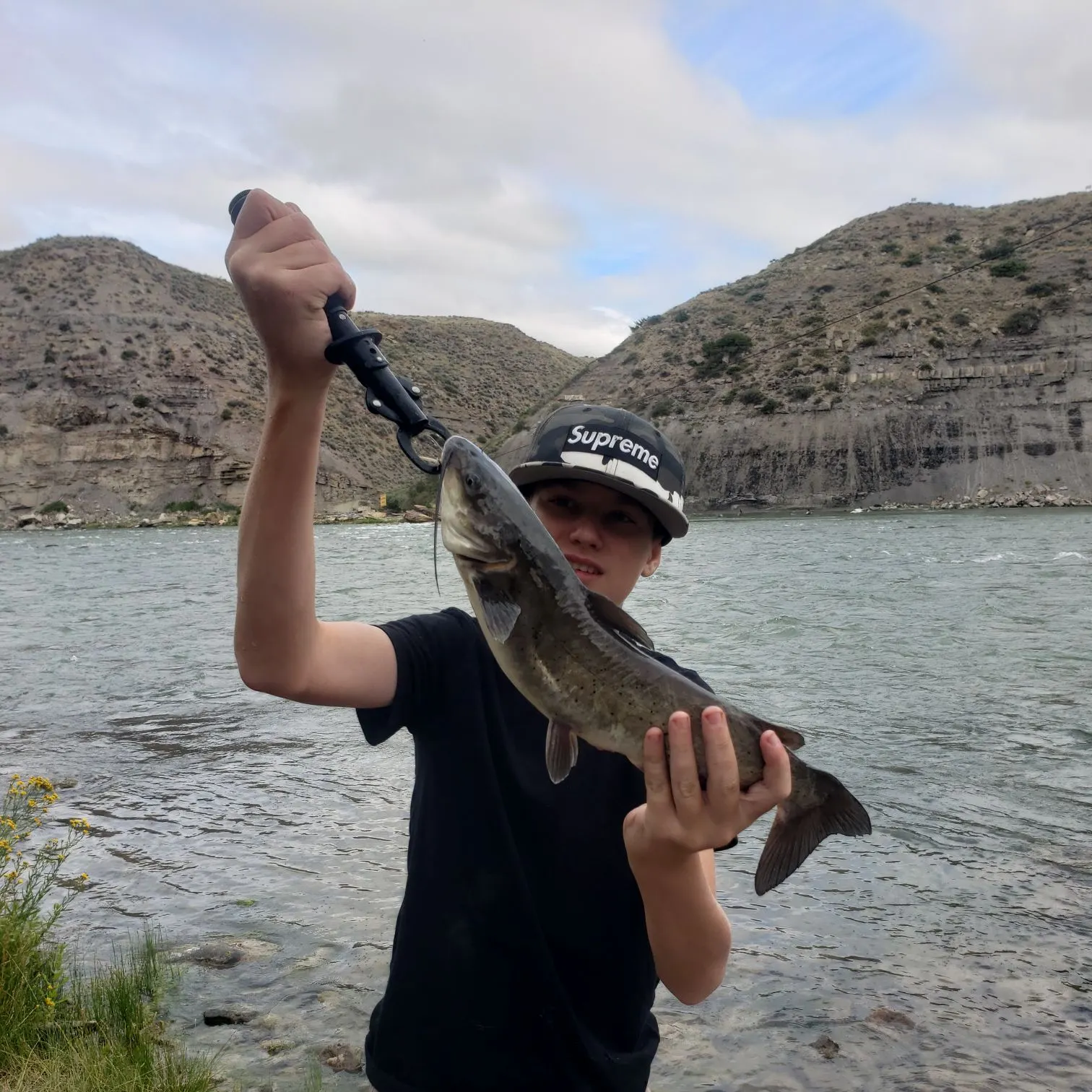 Channel catfish caught on Fishbrain