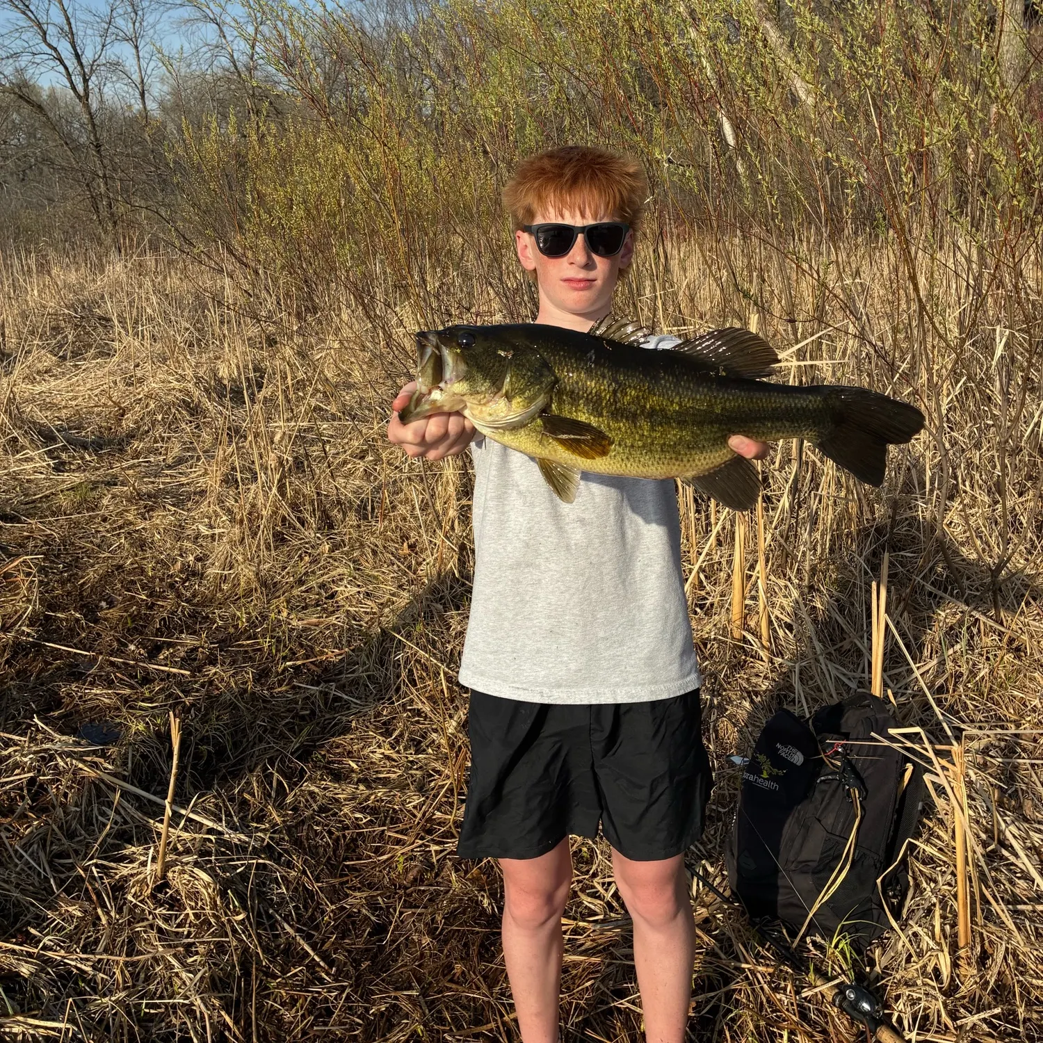 Largemouth bass caught on Fishbrain