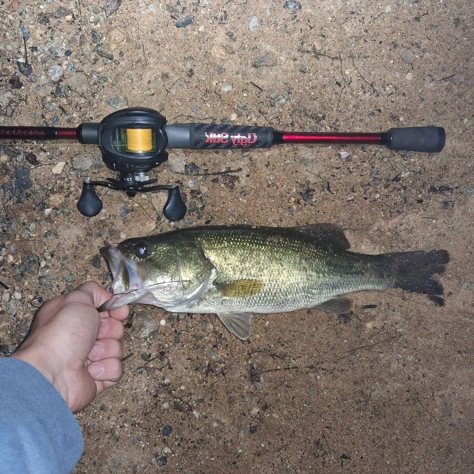Largemouth bass caught on Fishbrain
