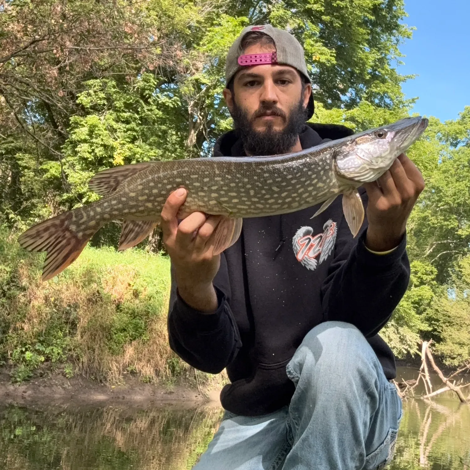Northern pike caught on Fishbrain