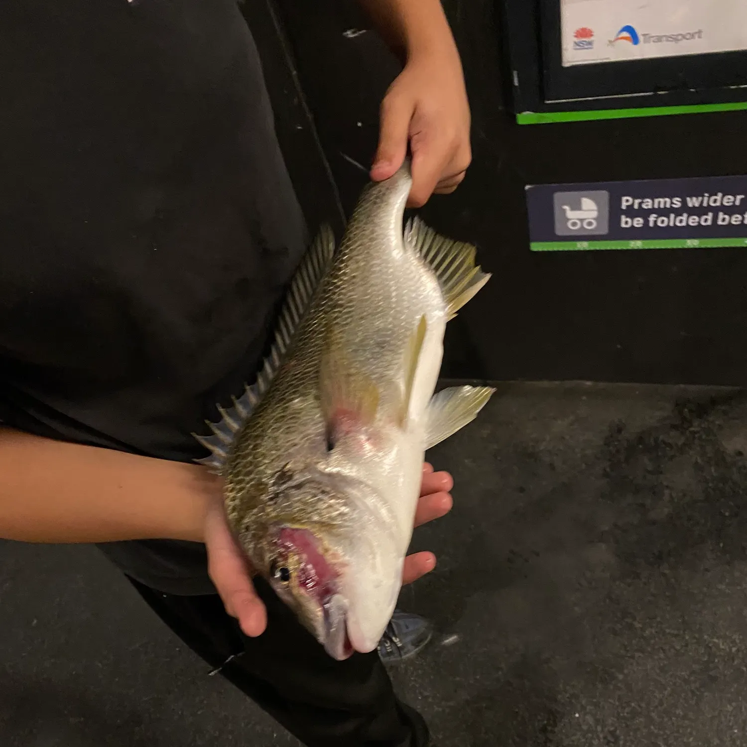 catch