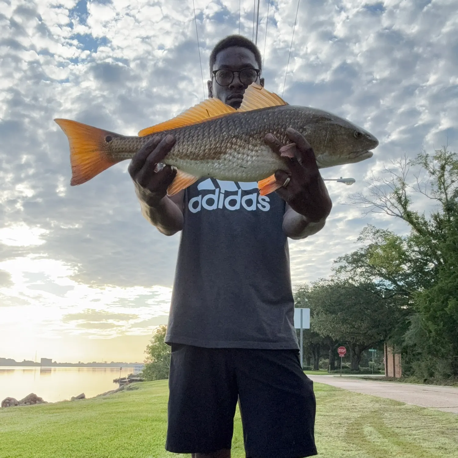 The most recent Red drum catches on Fishbrain