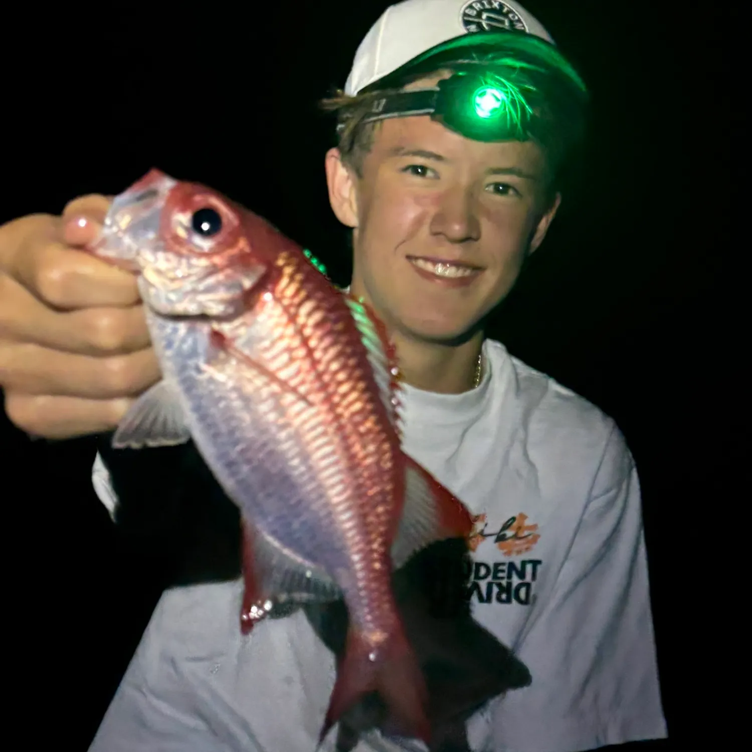 The most recent Blotcheye soldierfish catches on Fishbrain