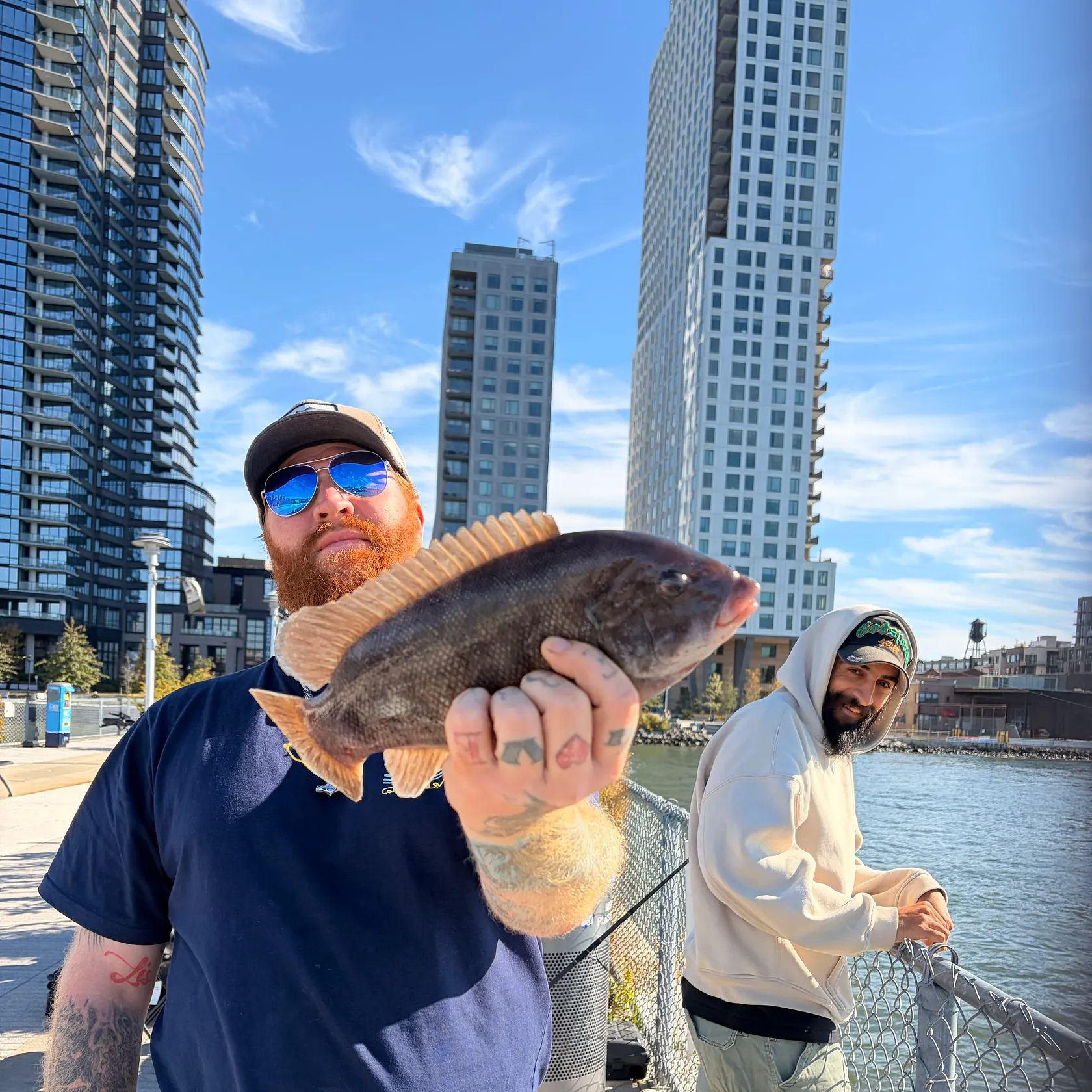 Tautog caught on Fishbrain