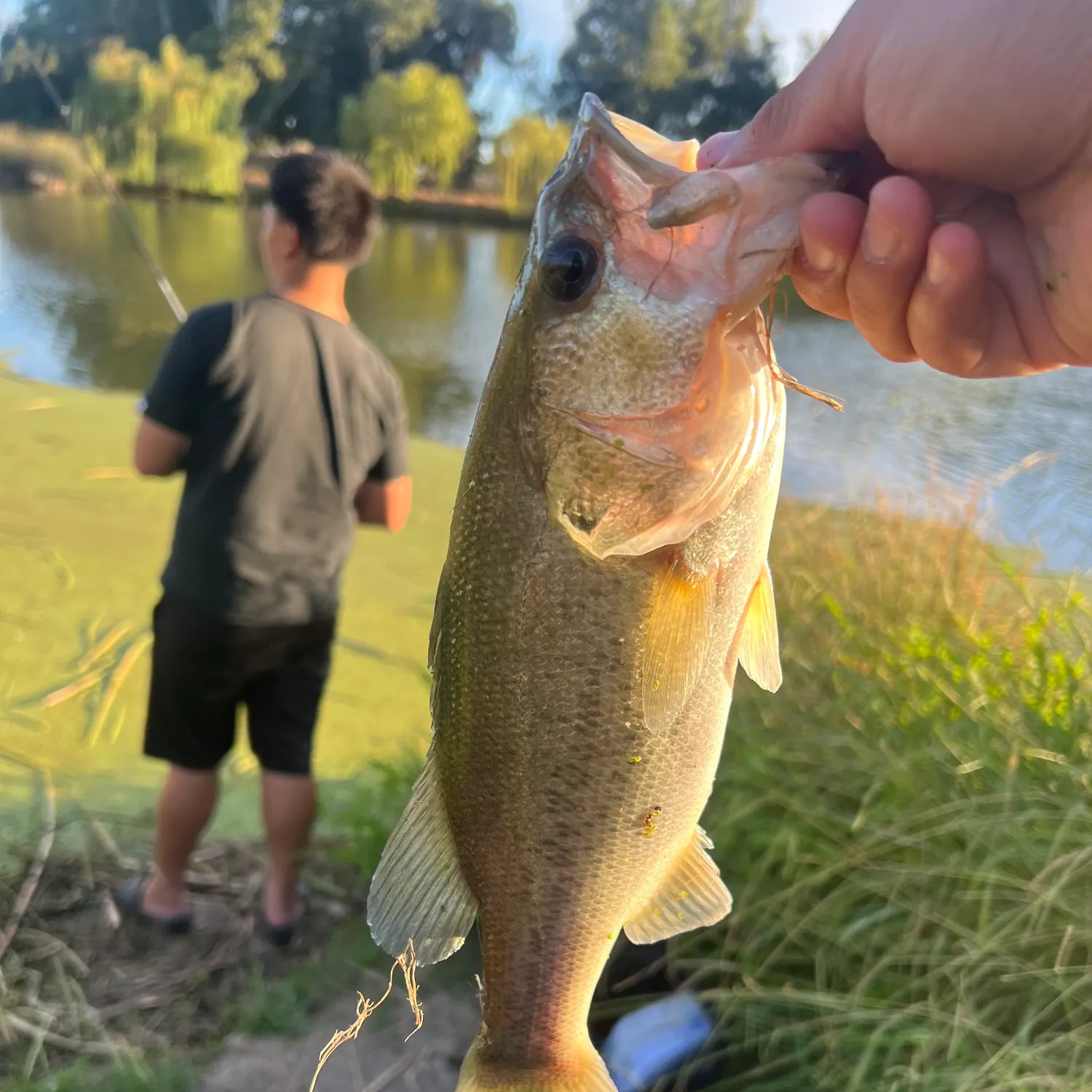 catch