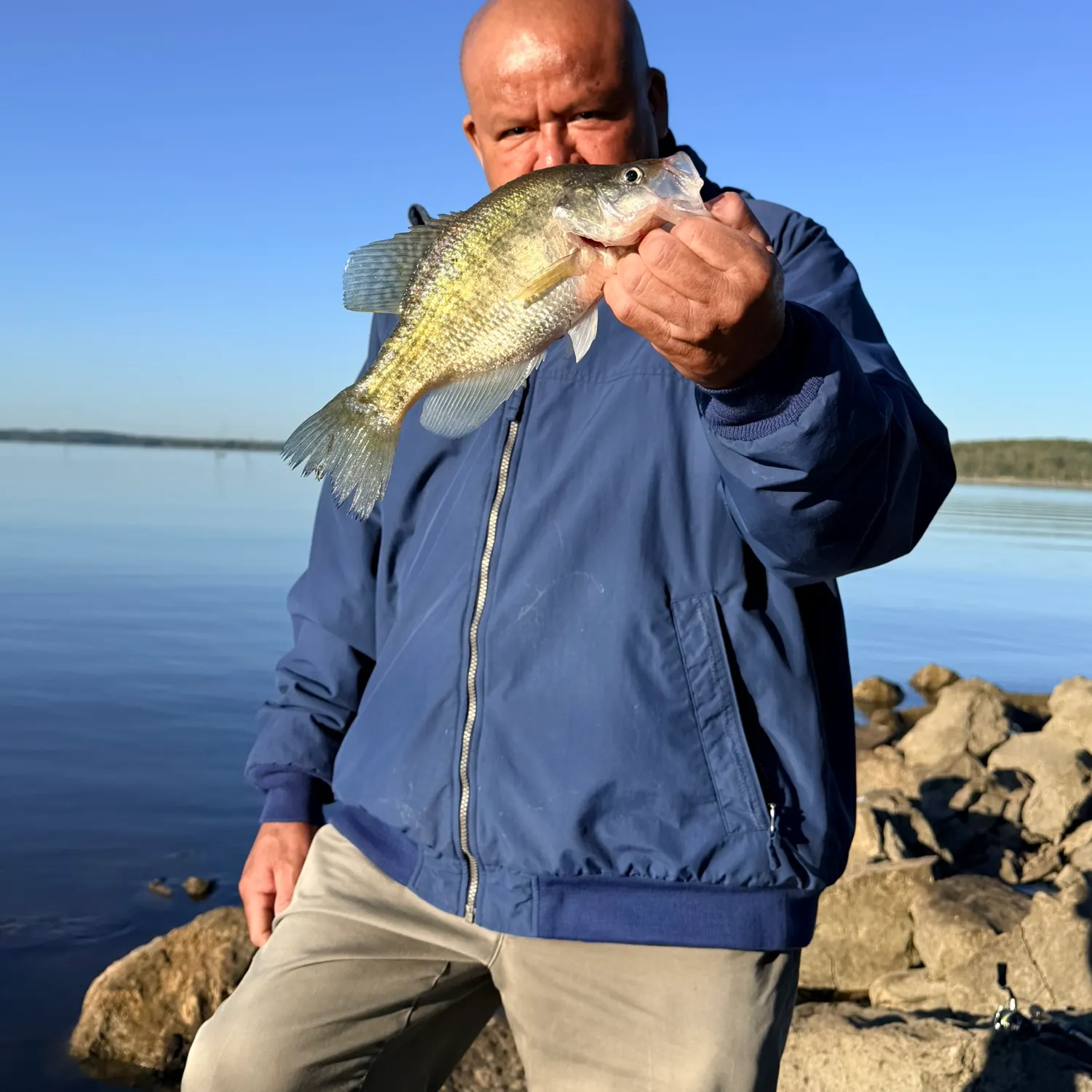 White crappie caught on Fishbrain