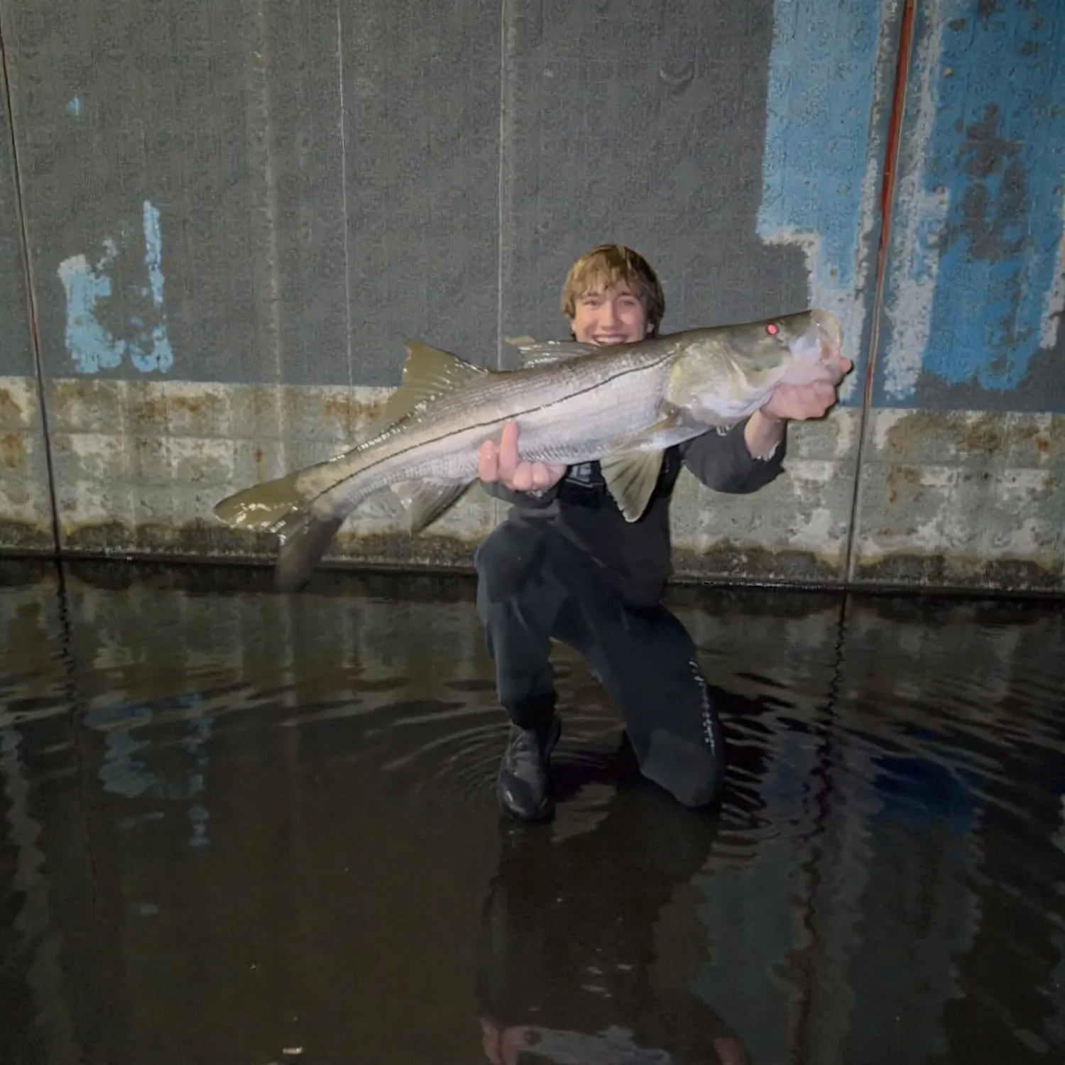 The most recent Common snook catches on Fishbrain