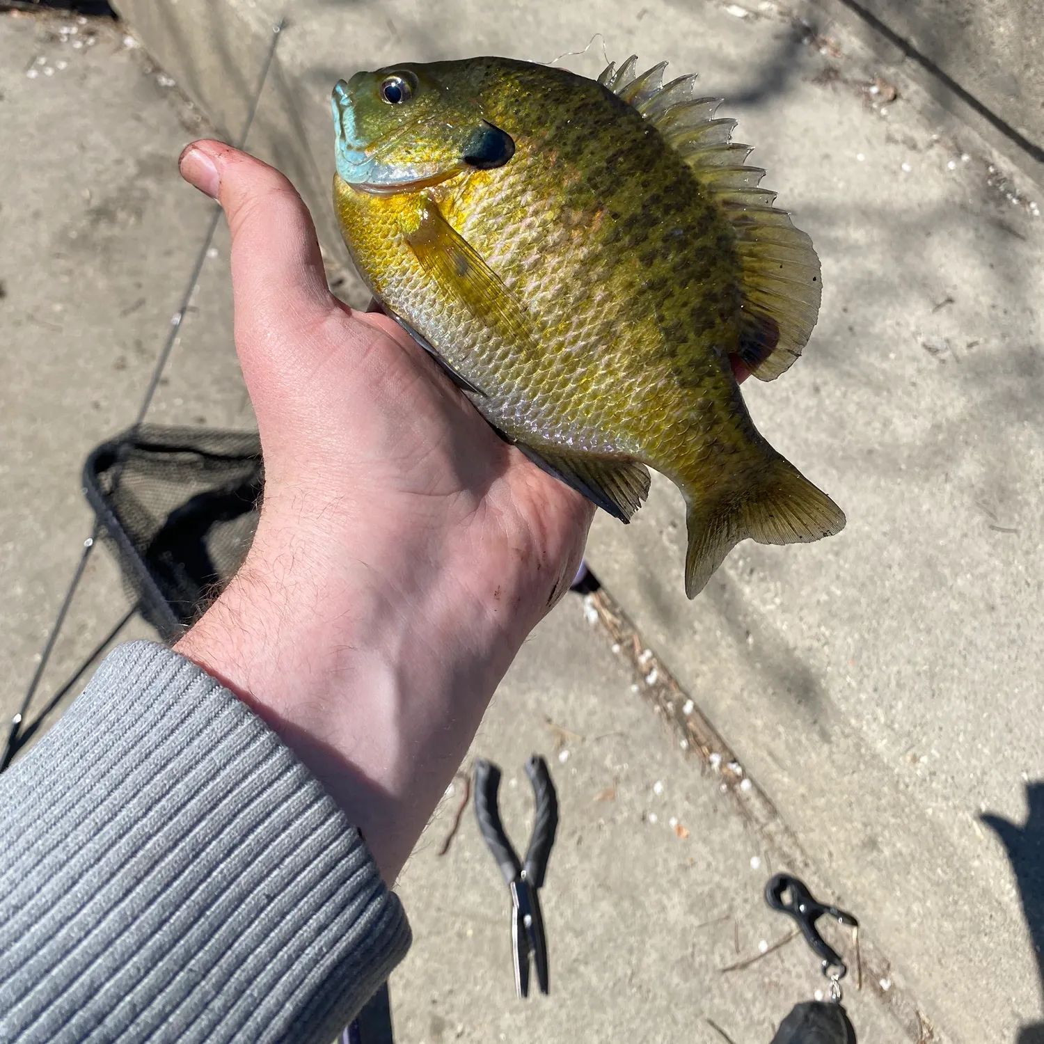 catch