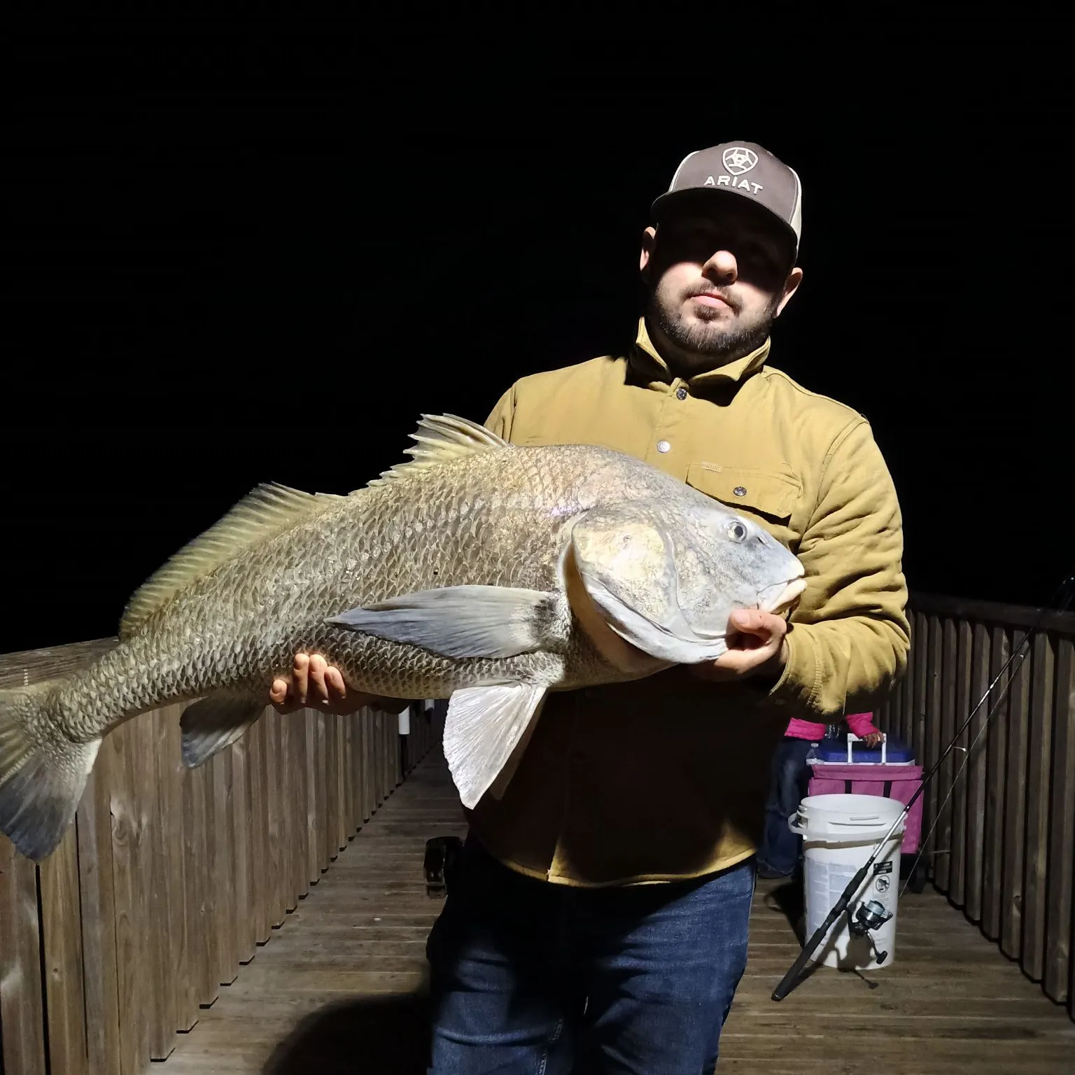 Black drum caught on Fishbrain
