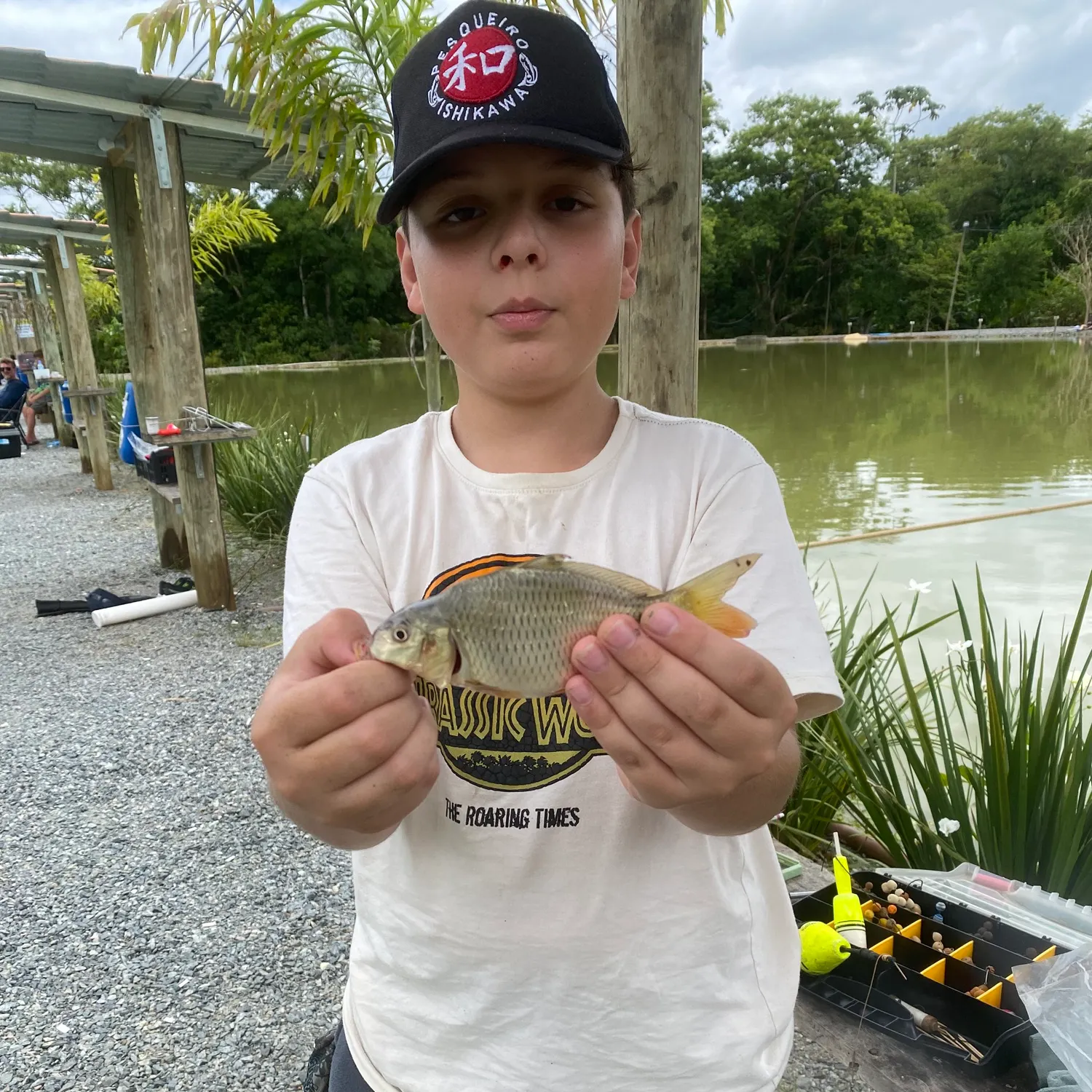 The most recent Common carp catches on Fishbrain