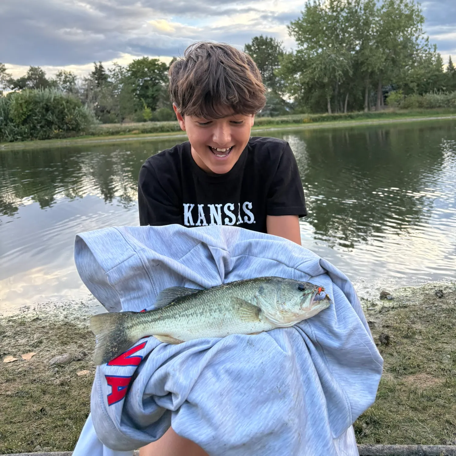 Largemouth bass caught on Fishbrain