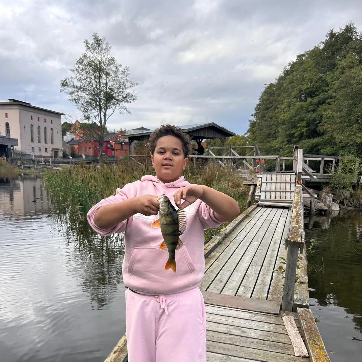 European perch caught on Fishbrain