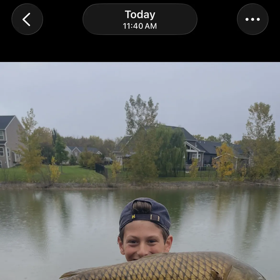 Common carp caught on Fishbrain