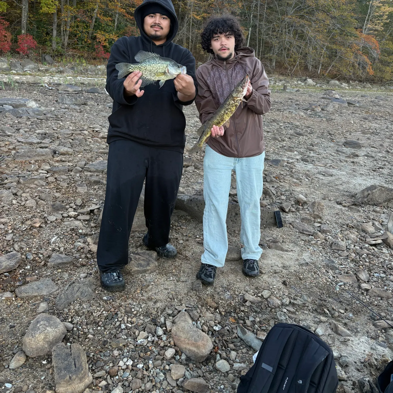 Black crappie caught on Fishbrain