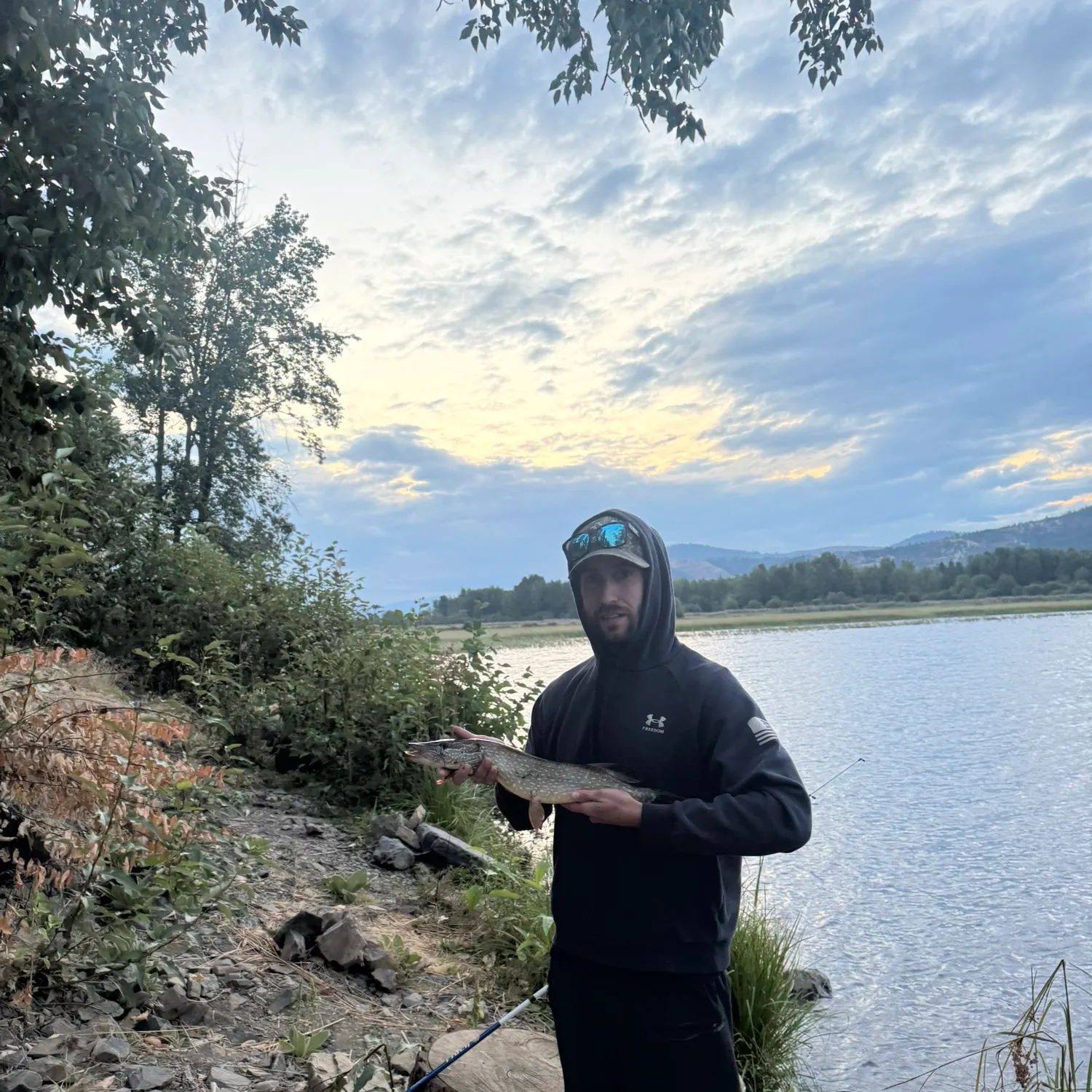 Northern pike caught on Fishbrain
