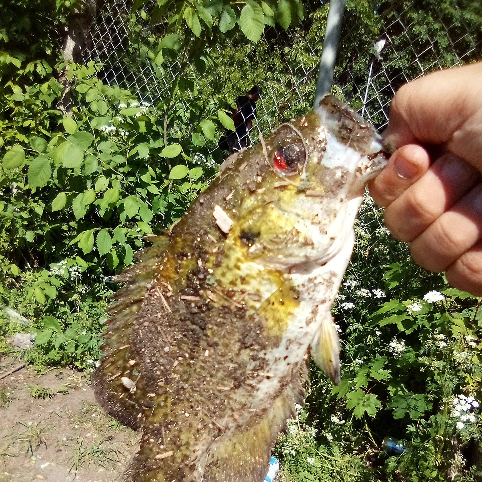 catch