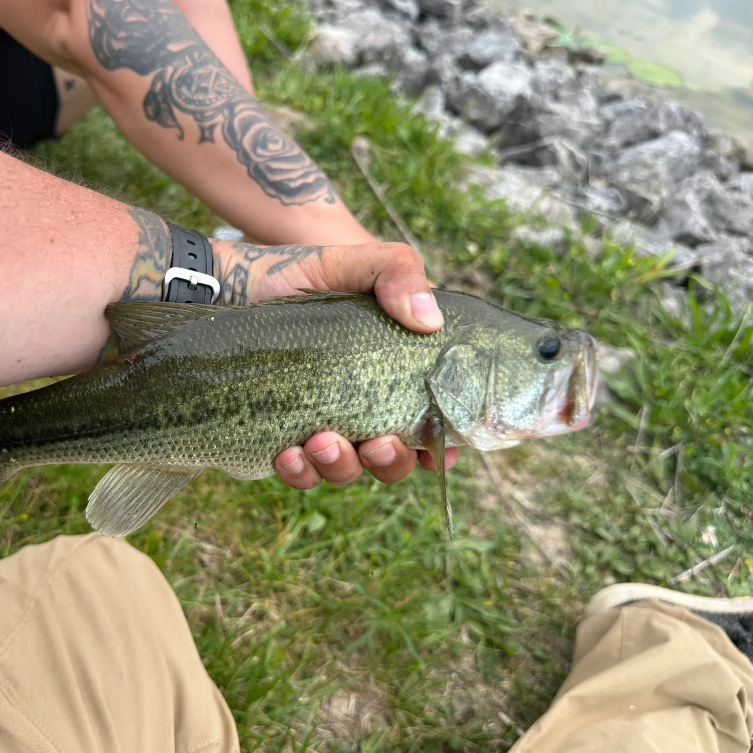 catch