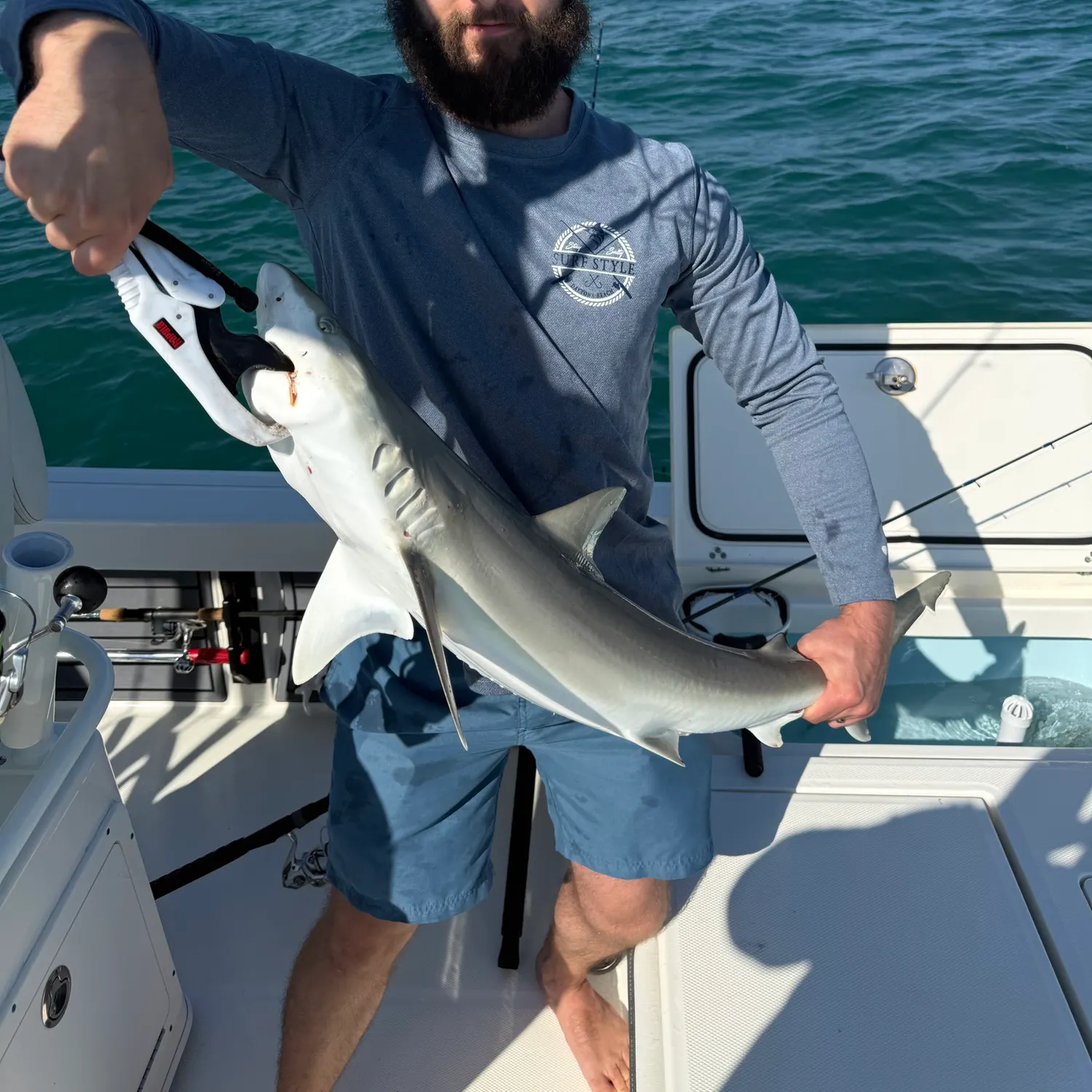 The most recent Spinner shark catches on Fishbrain