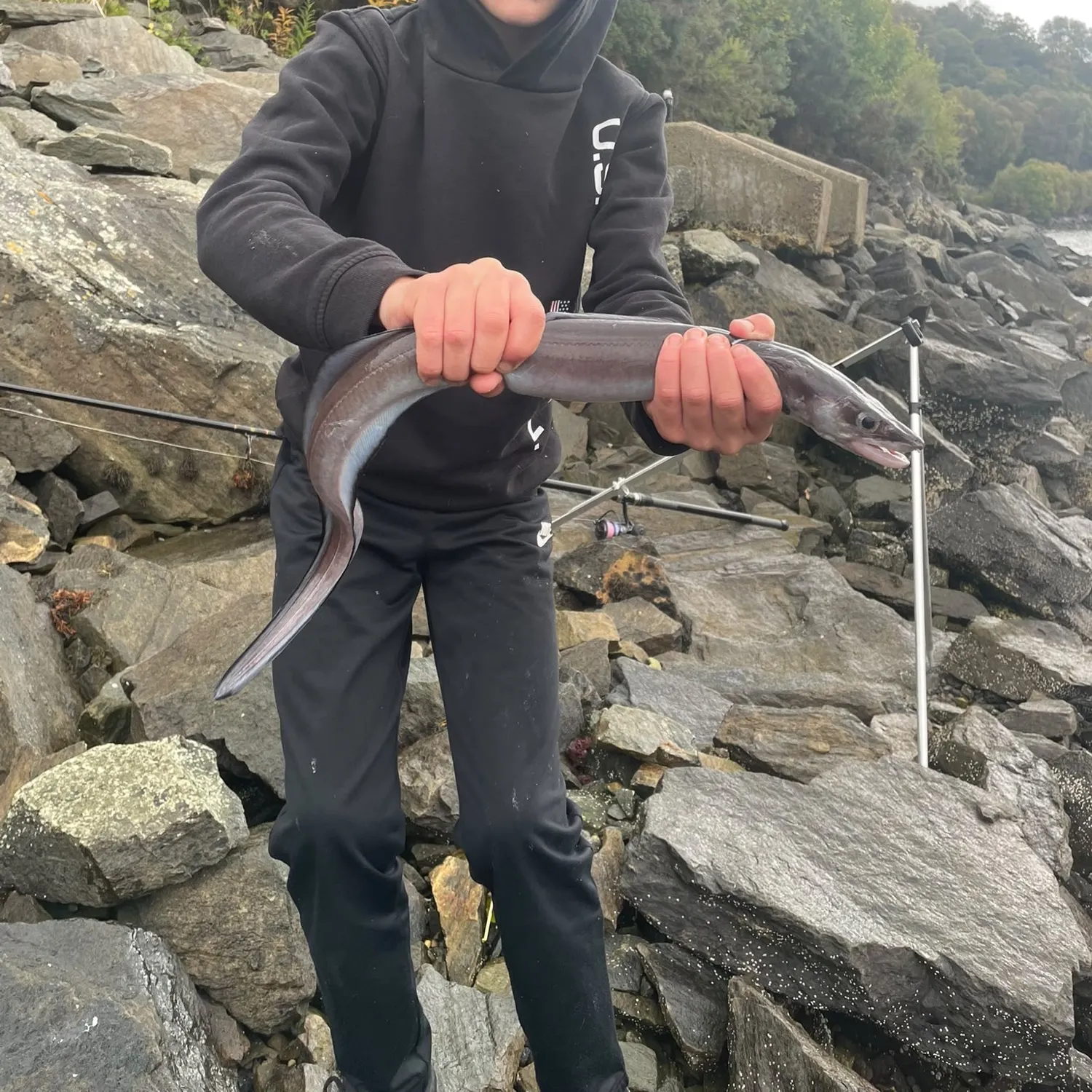 The most recent European conger catches on Fishbrain