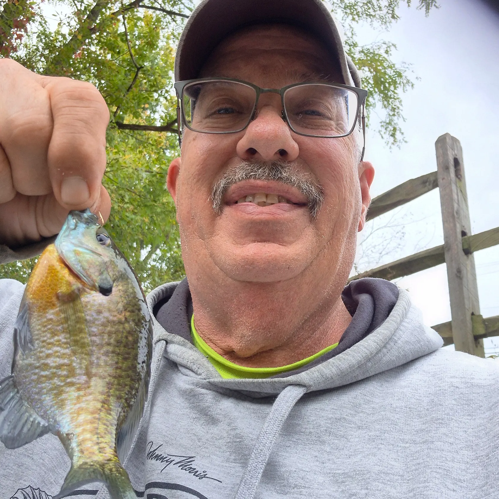 Bluegill caught on Fishbrain