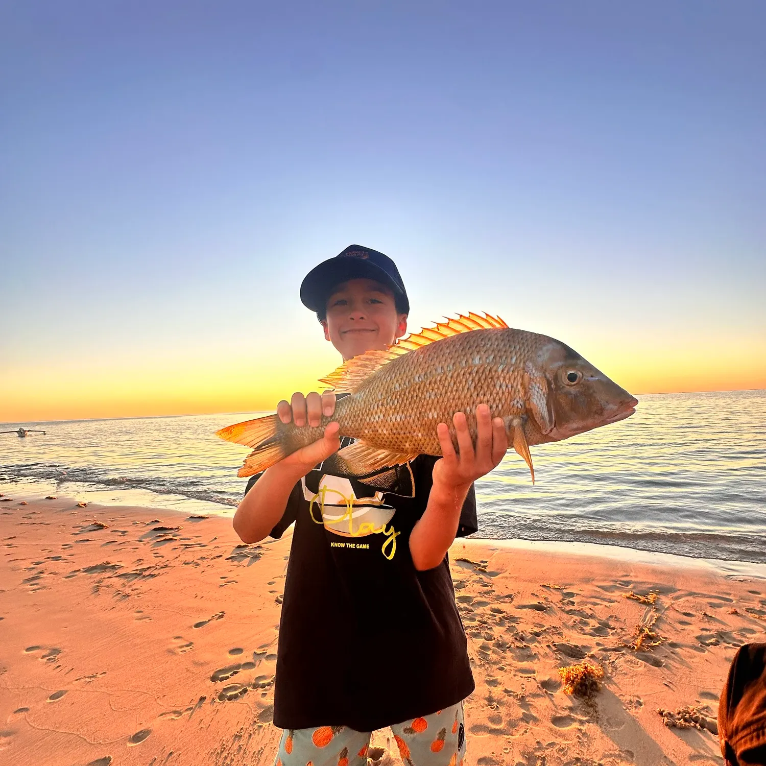 The most recent Spangled emperor catches on Fishbrain