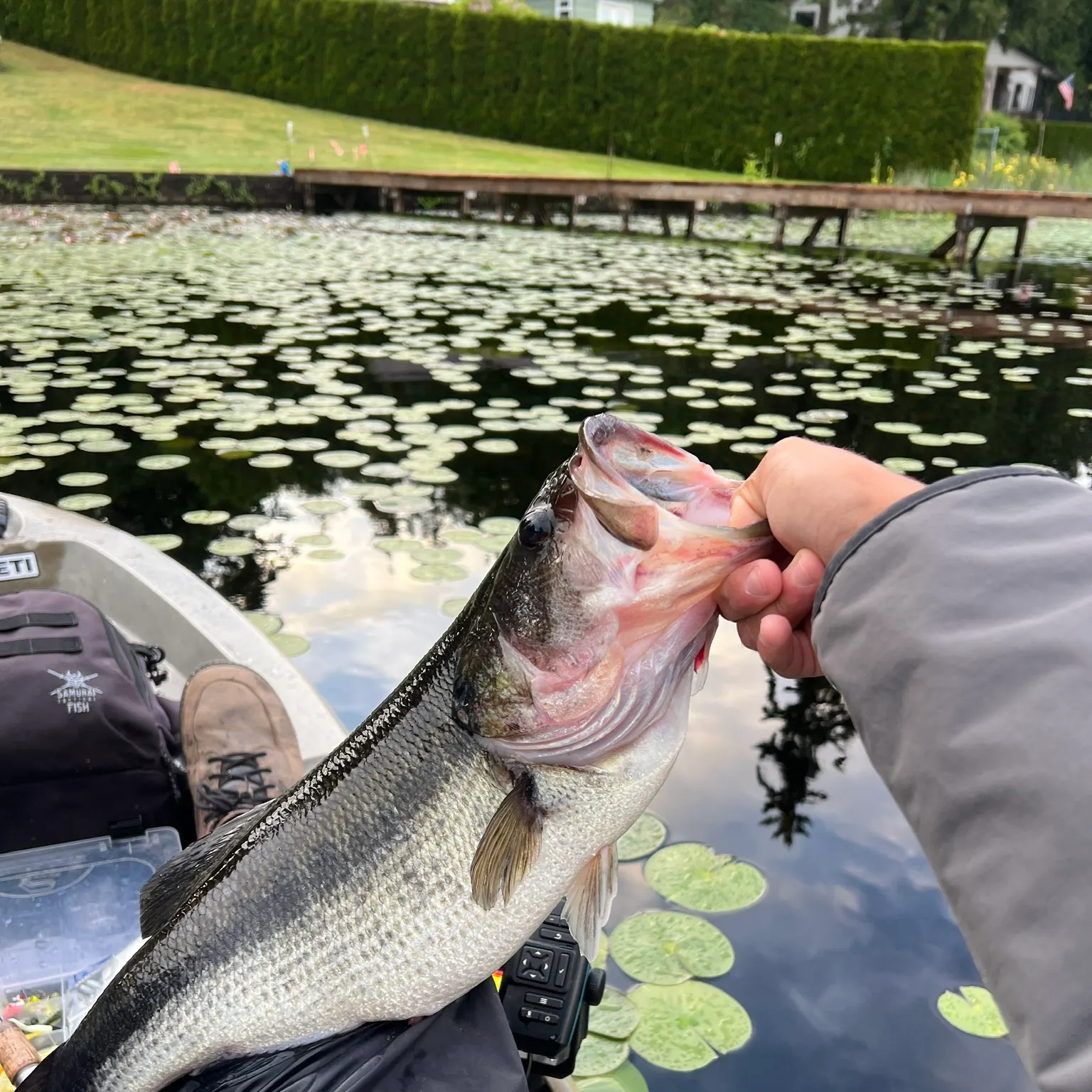 recently logged catches