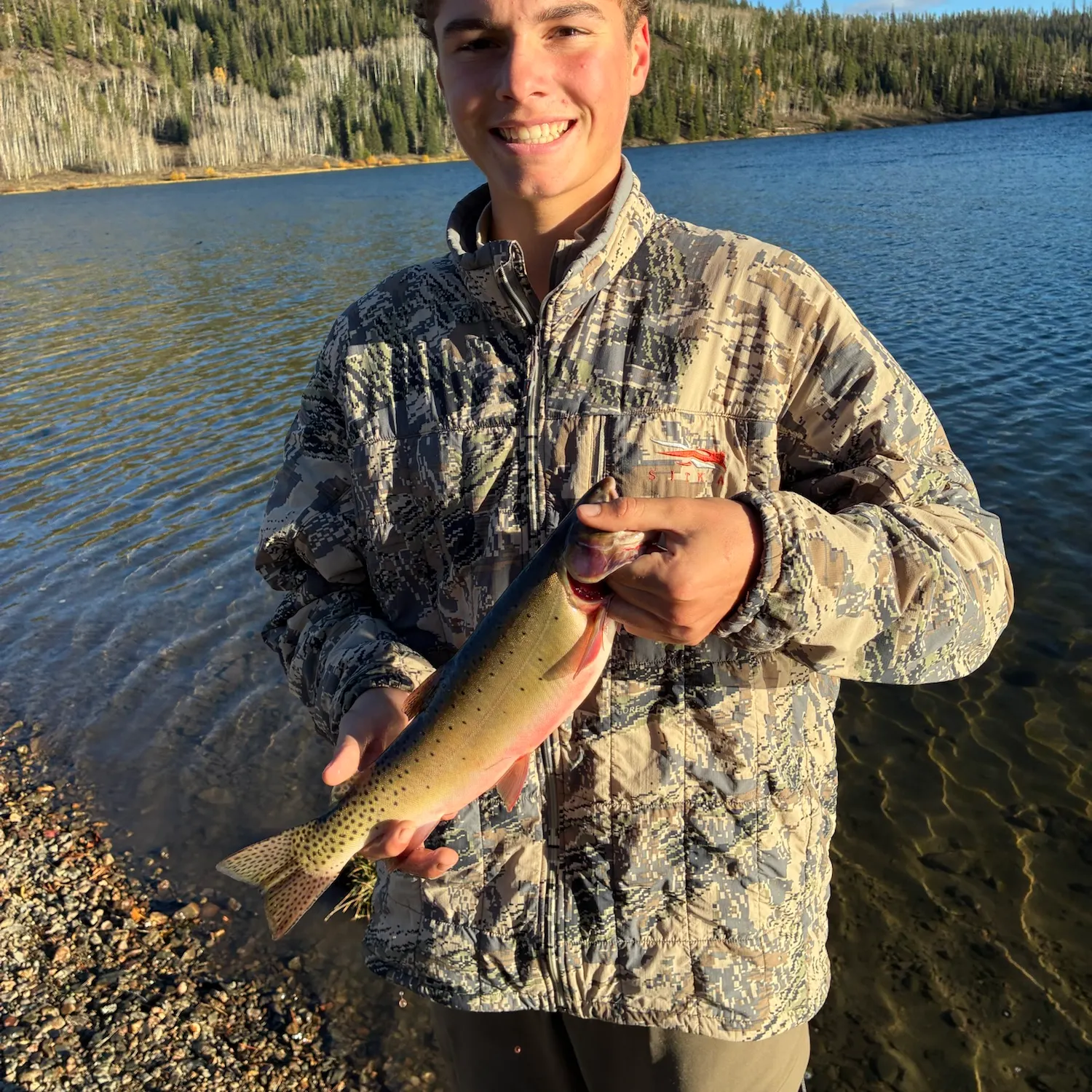 Cutthroat trout caught on Fishbrain