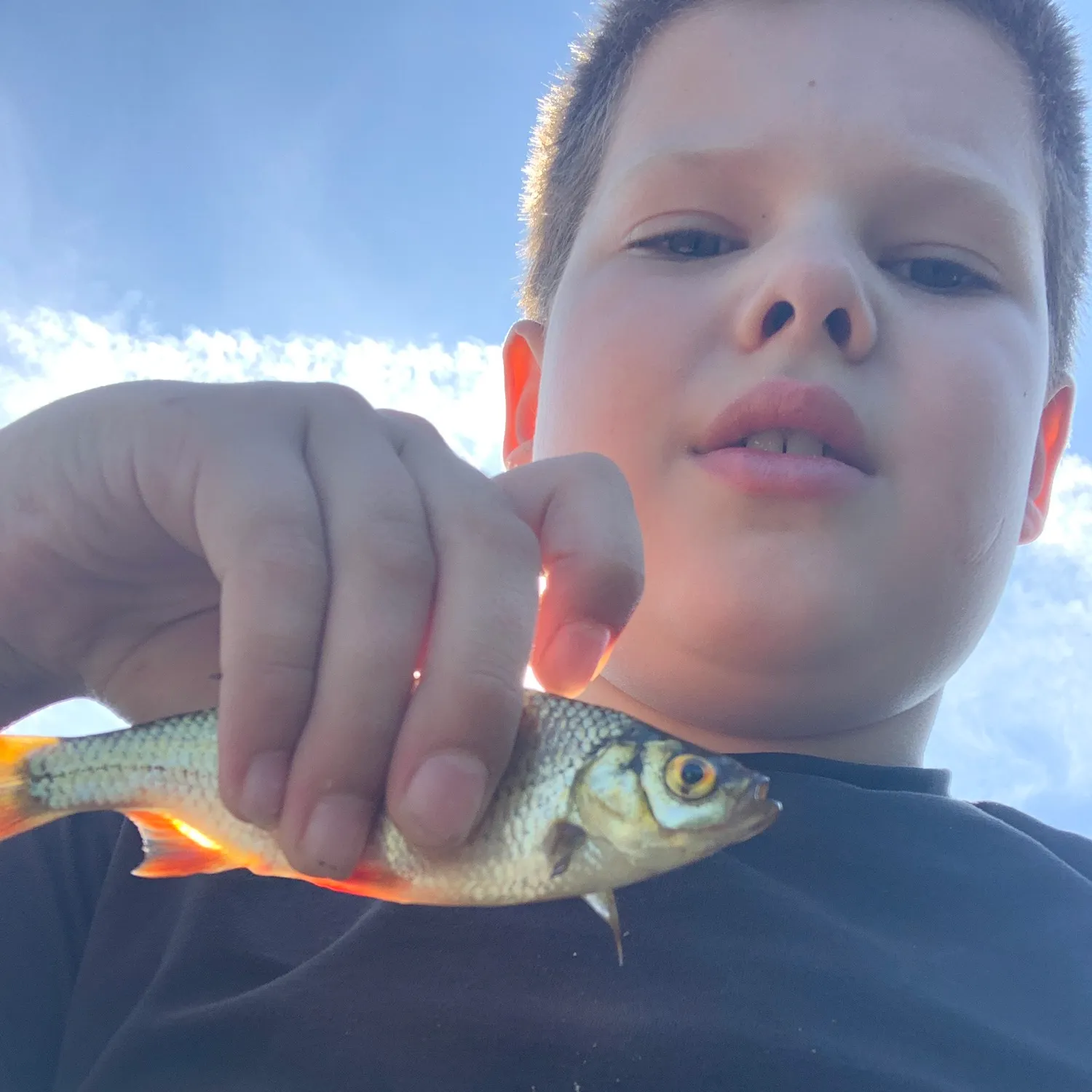 Fish caught on Fishbrain