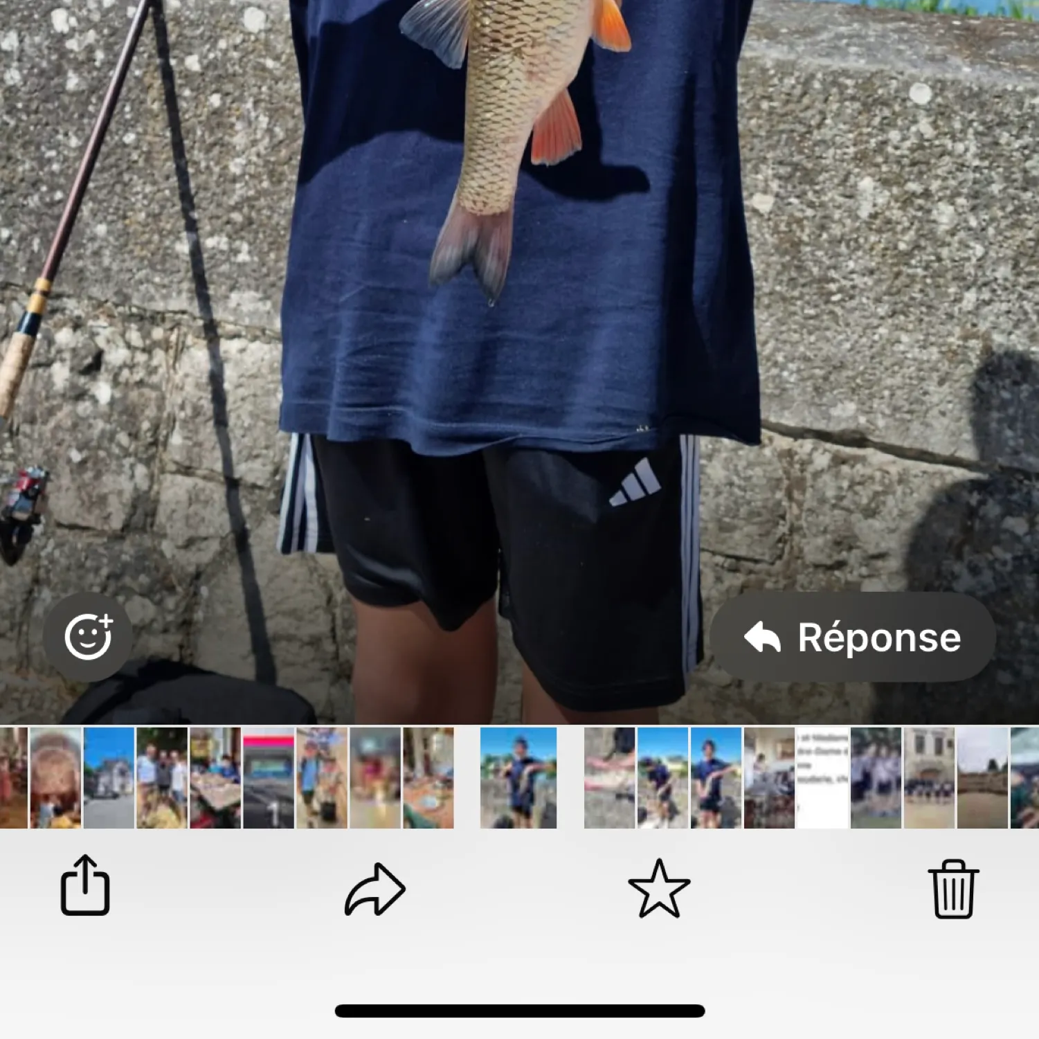 recently logged catches