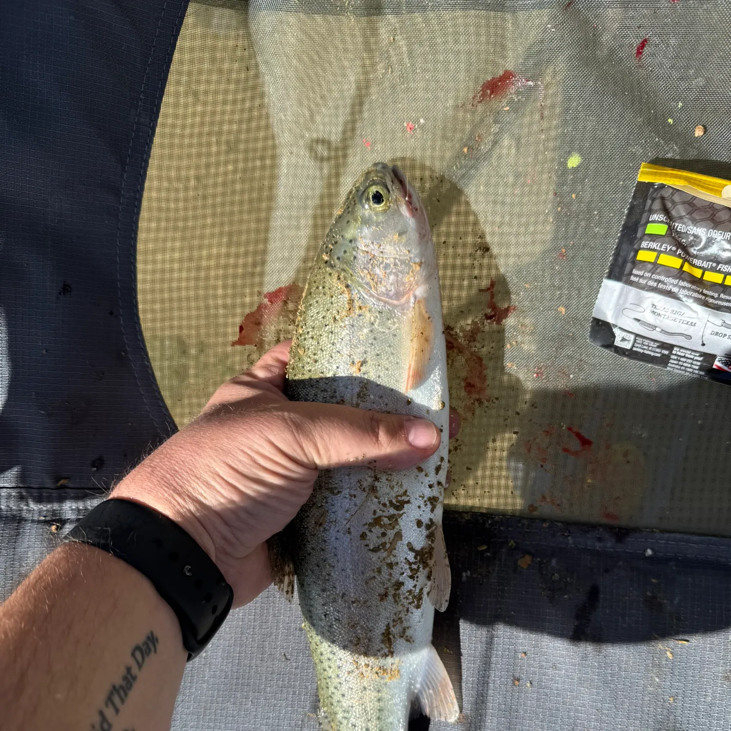 recently logged catches