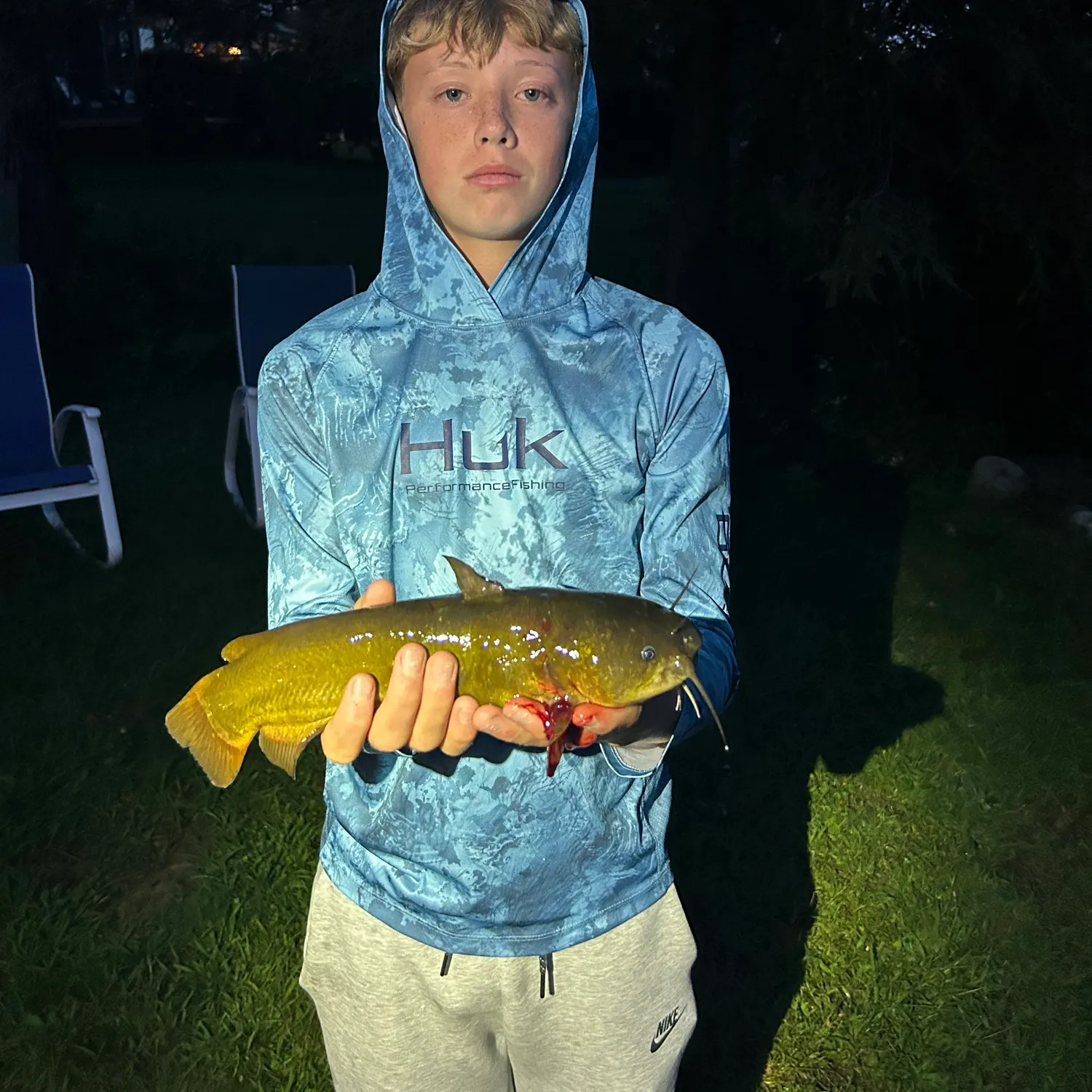 Black bullhead caught on Fishbrain
