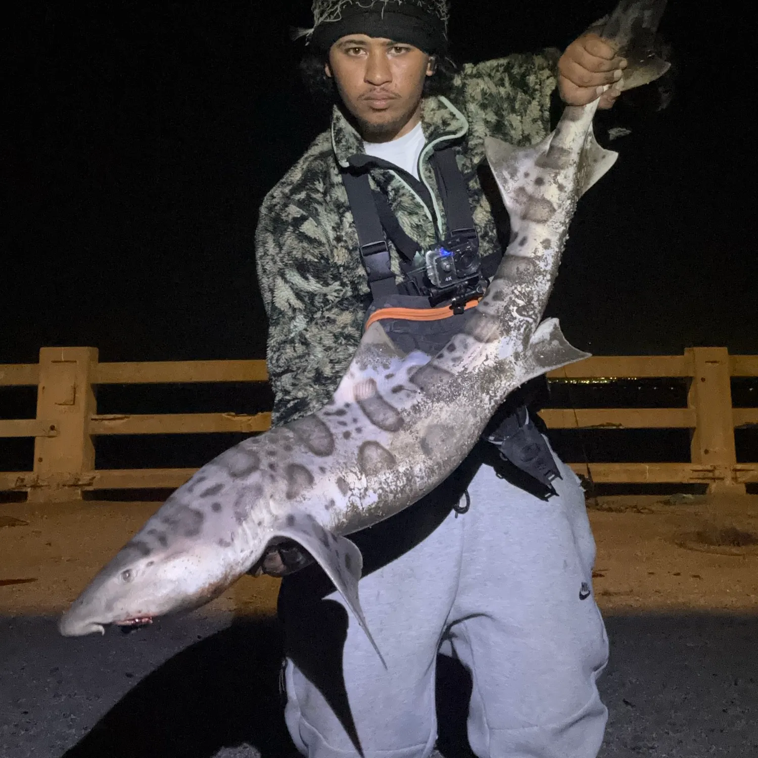 Leopard shark caught on Fishbrain