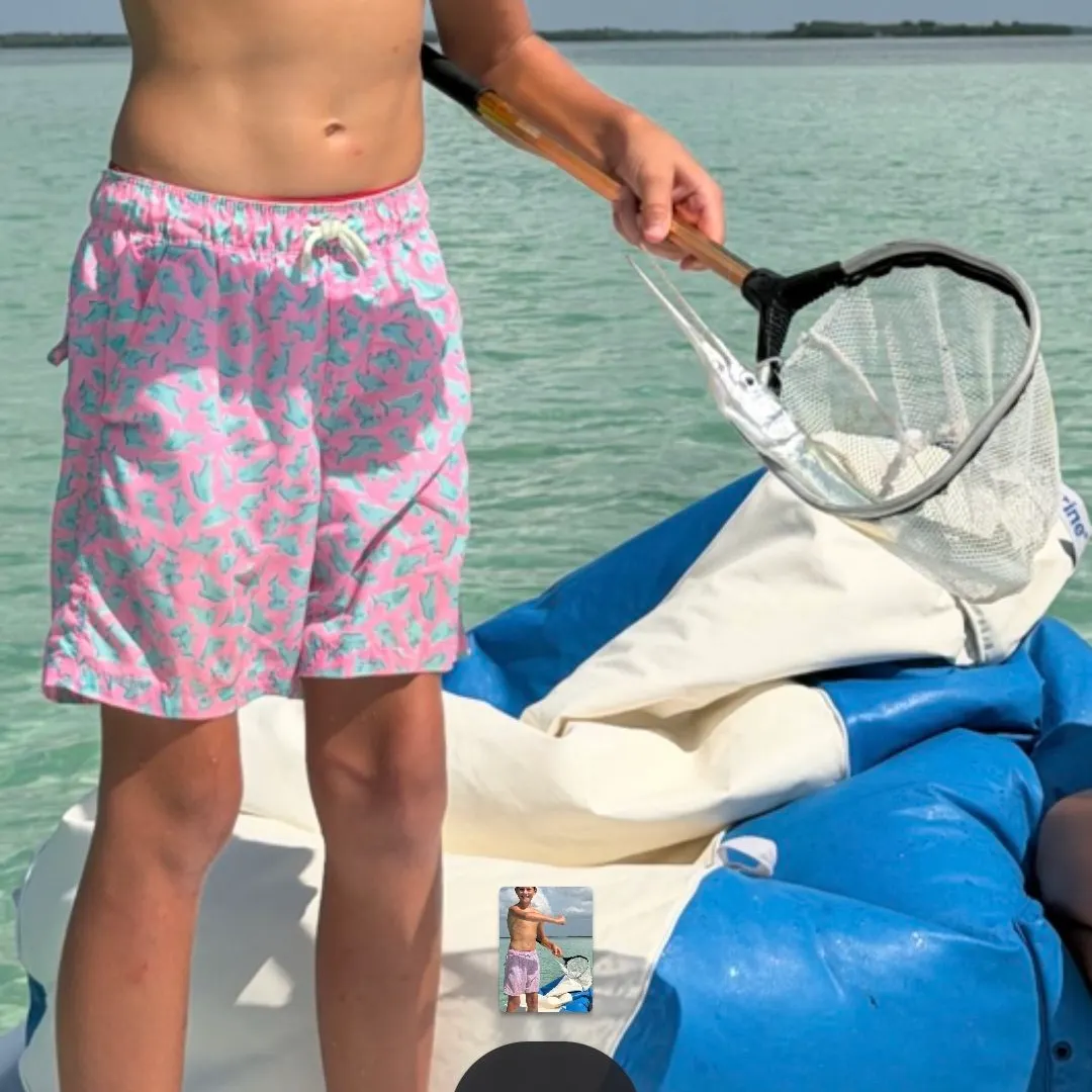 The most recent Flat needlefish catches on Fishbrain