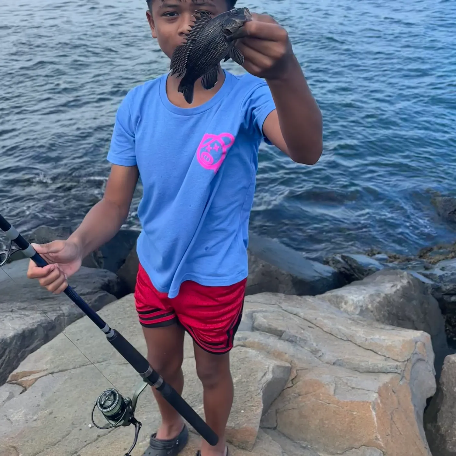 Black sea bass caught on Fishbrain