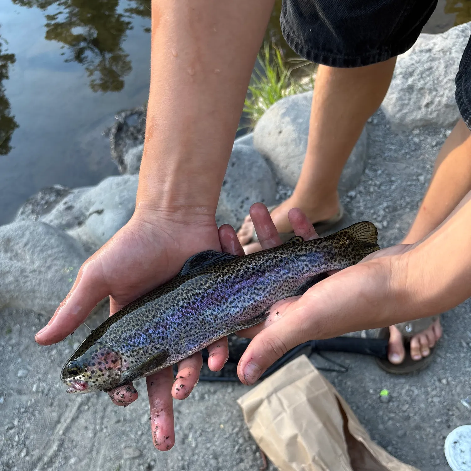 catch