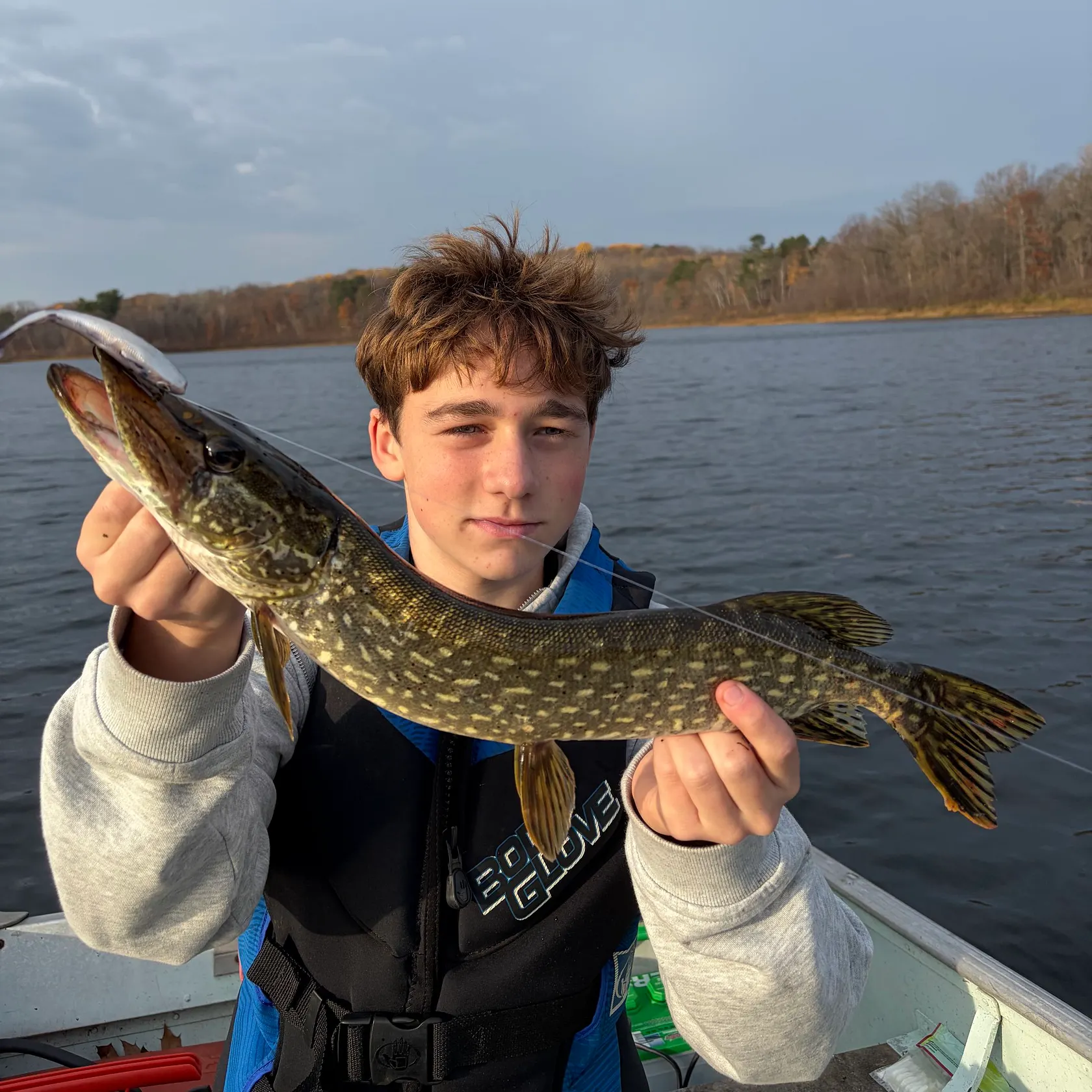 Northern pike caught on Fishbrain
