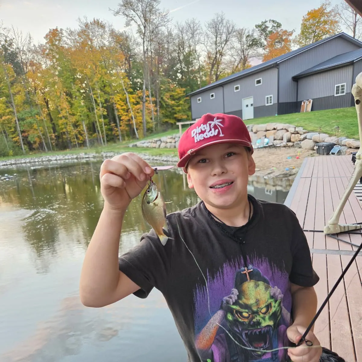 Bluegill caught on Fishbrain