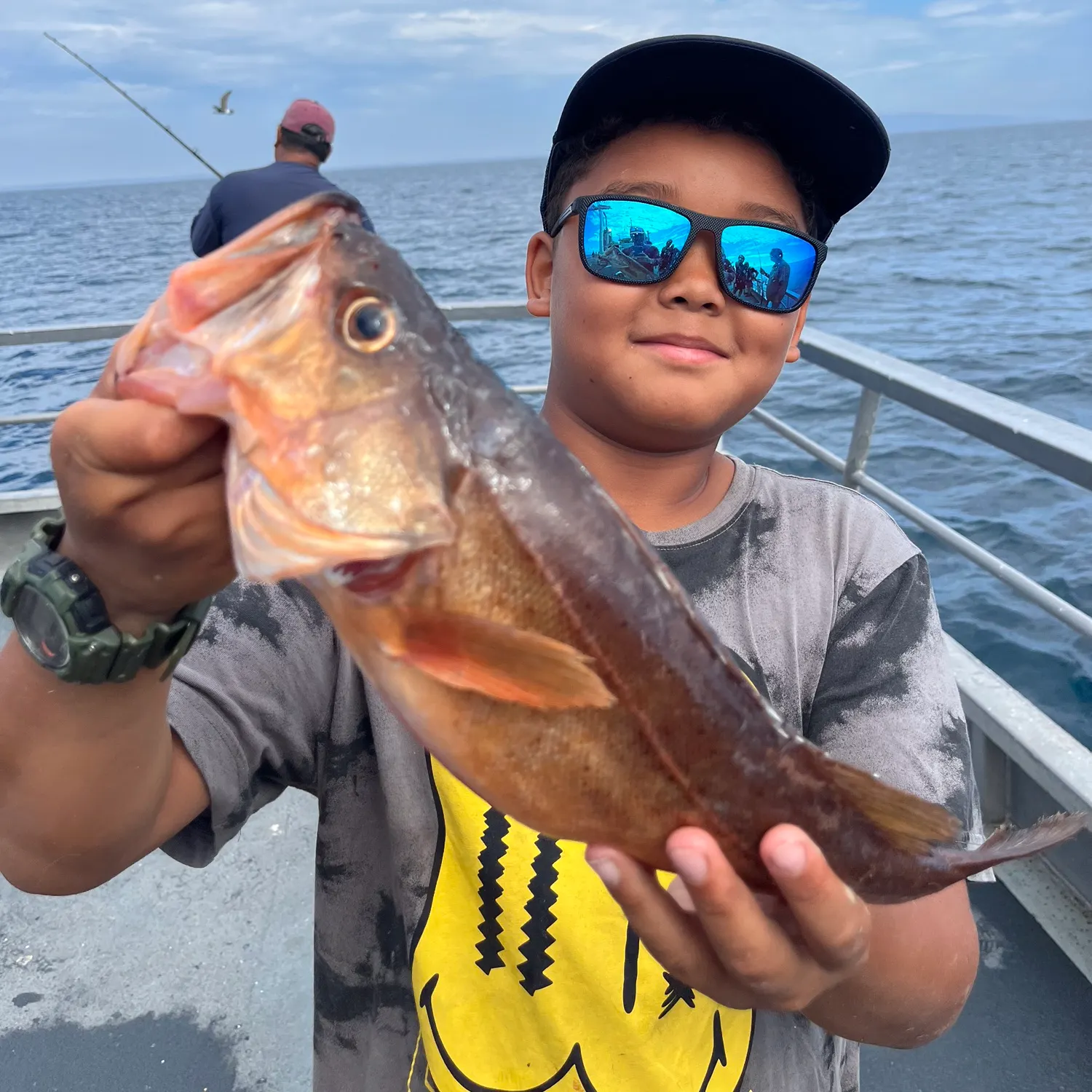 The most recent Bocaccio rockfish catches on Fishbrain
