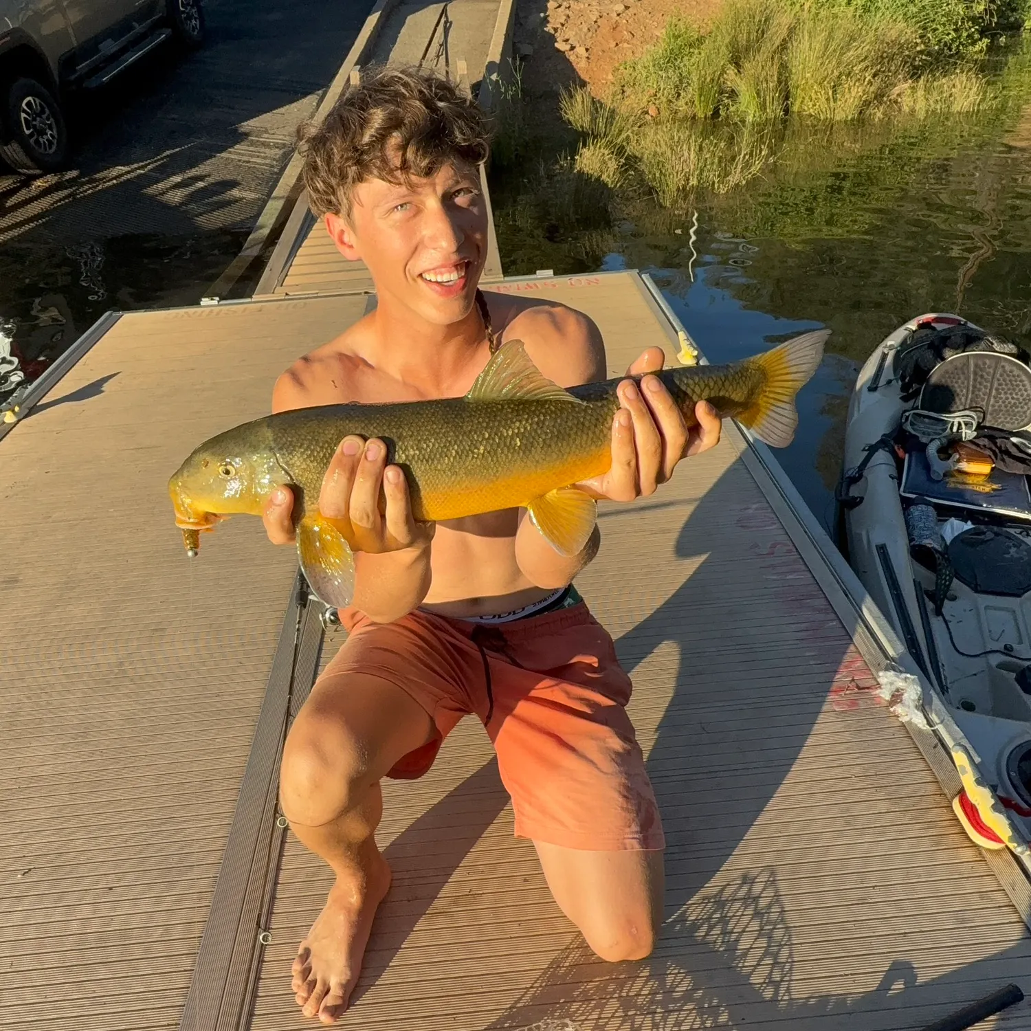 The most recent Sacramento sucker catches on Fishbrain