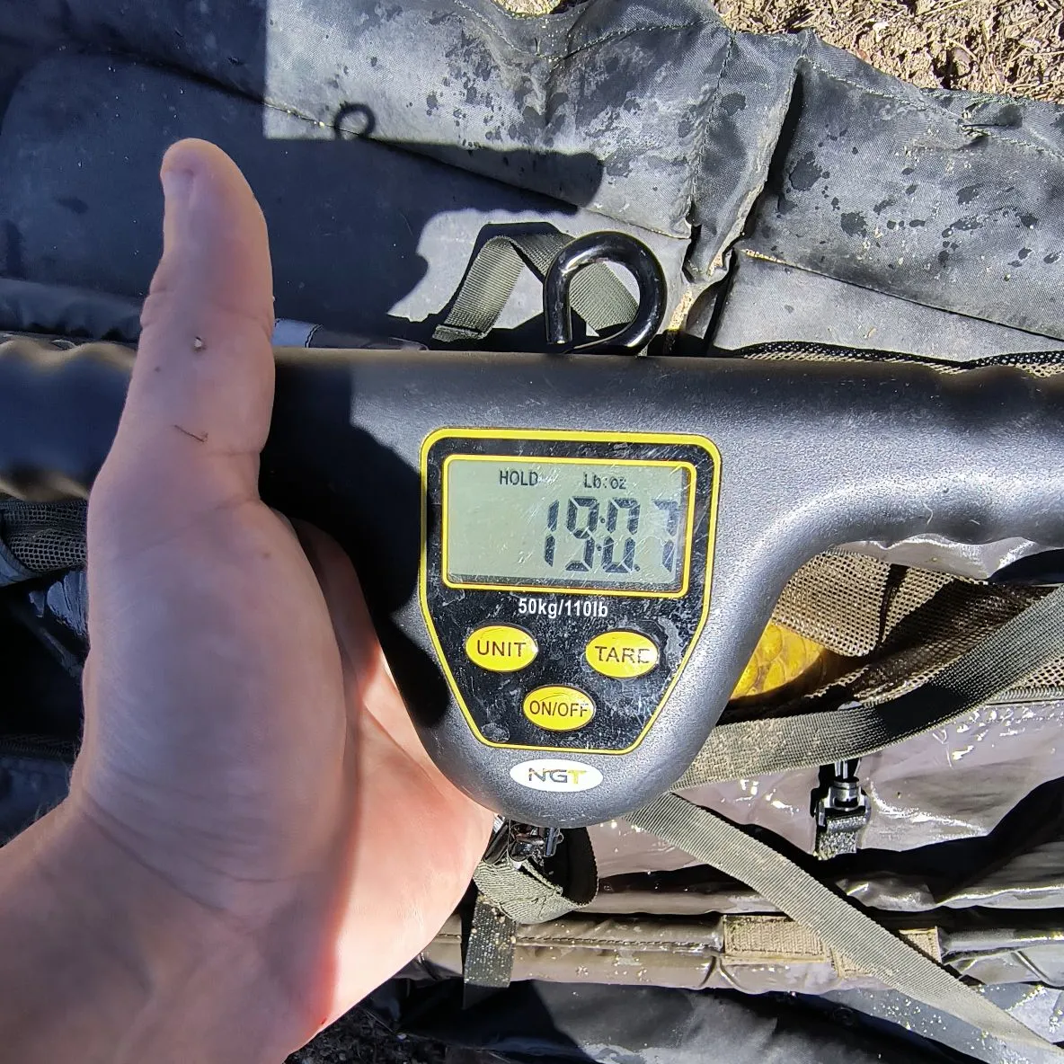 The most recent Common carp catches on Fishbrain