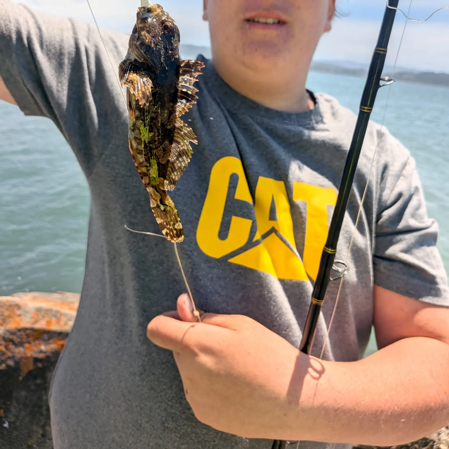 The most recent Cabezon catches on Fishbrain