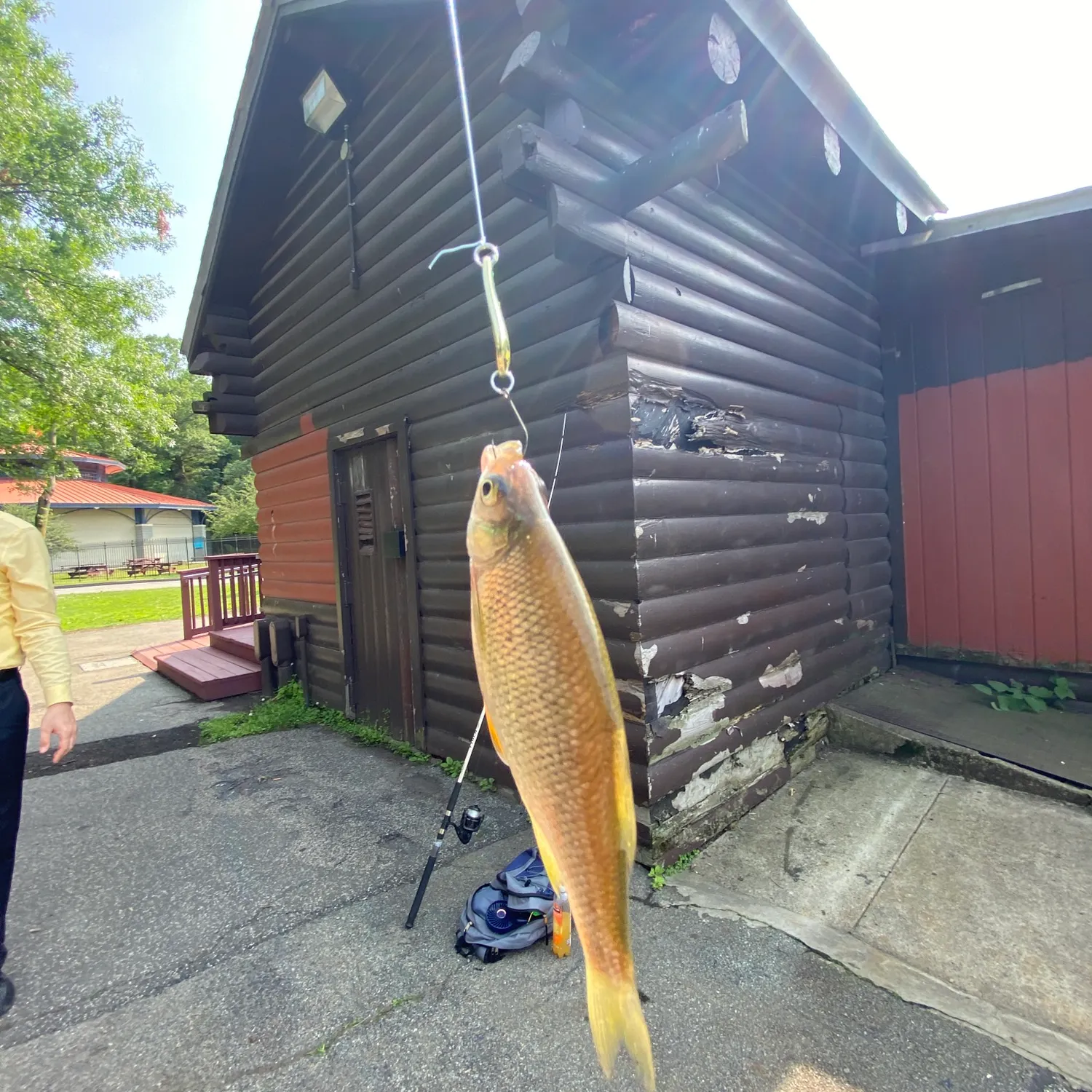 most liked catch image