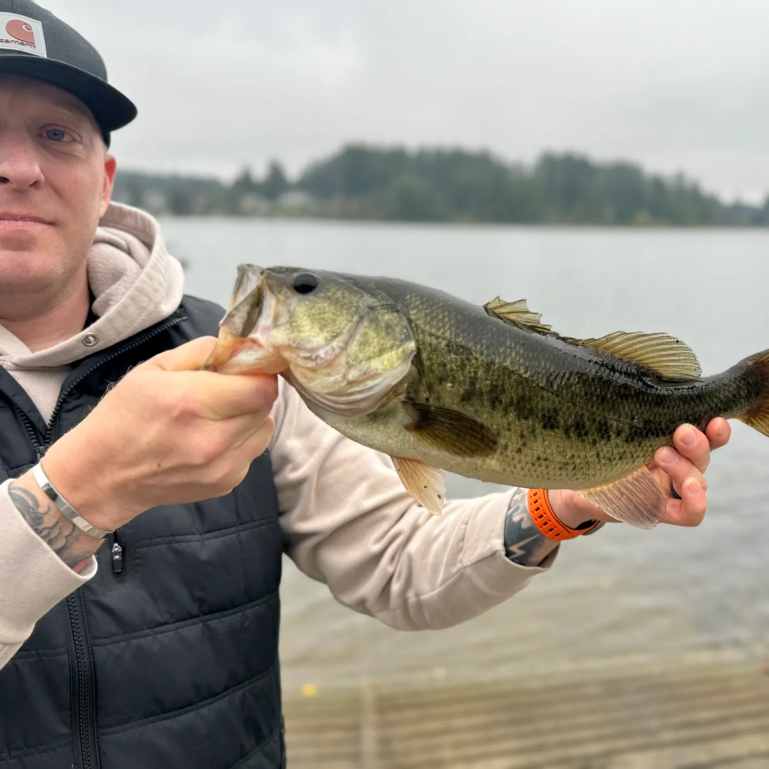 Largemouth bass caught on Fishbrain