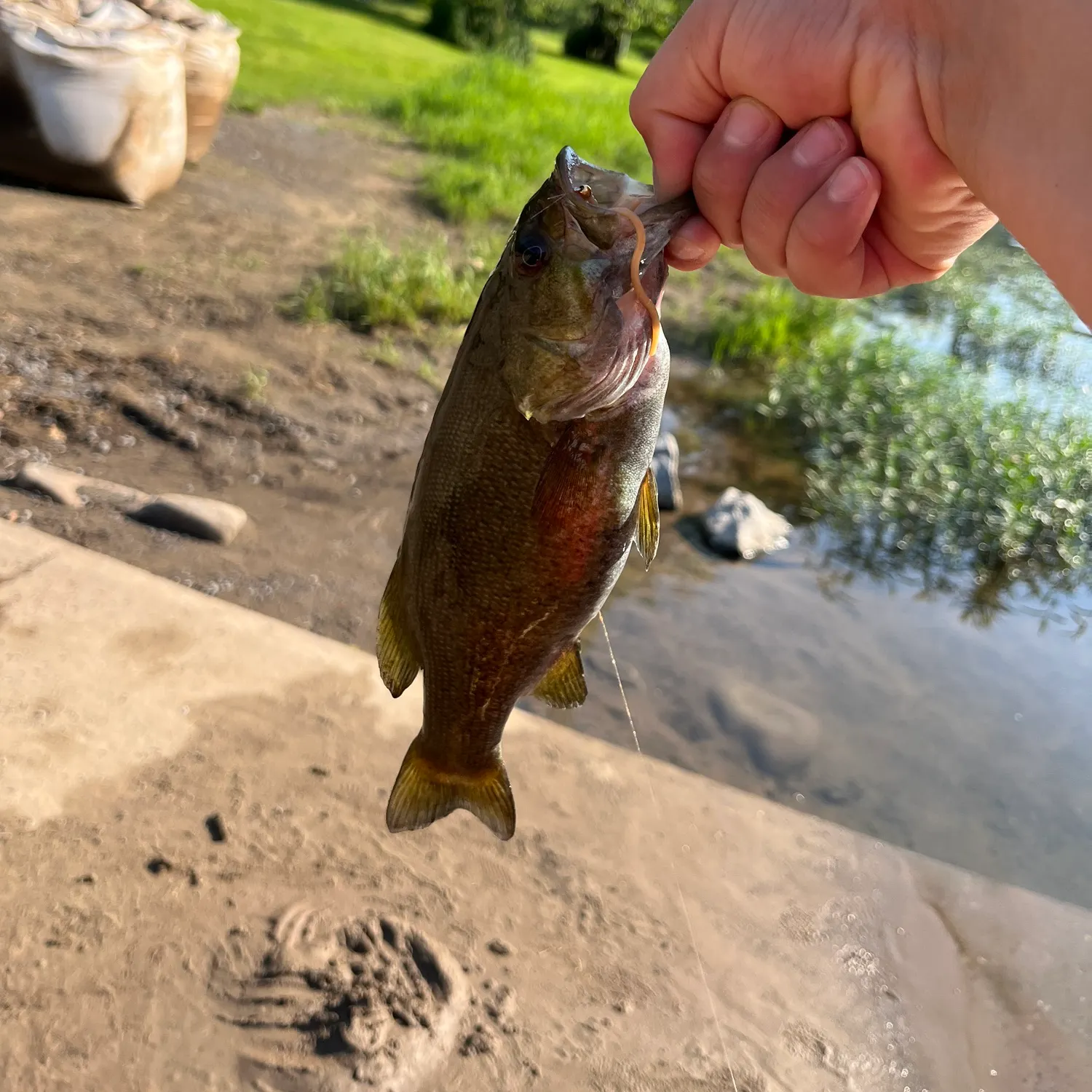 catch